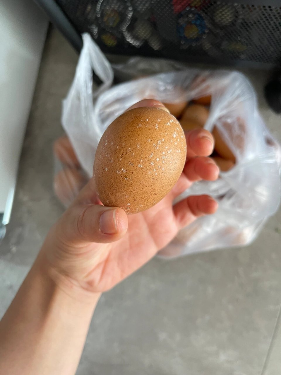 鸡蛋长毛还能吃么. 一袋子鸡蛋没舍得吃,结果全长毛了.