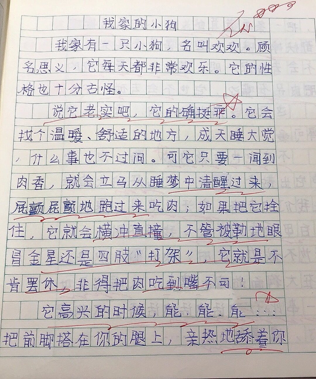 小狗作文400字家中图片