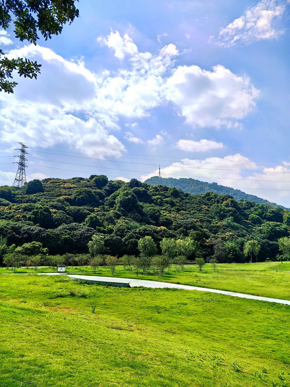 从化风云岭森林公园 大草坪,小河流,适合娃疯跑玩游戏.