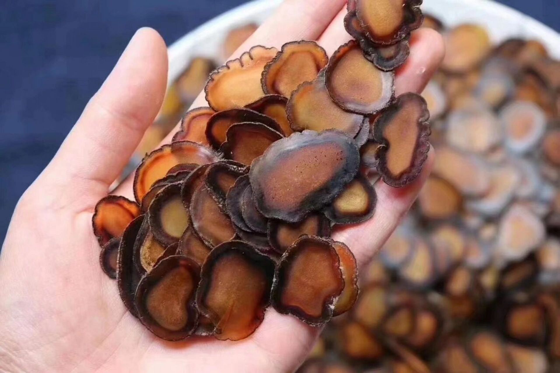 东北梅花鹿茸顶级全蜡片10g,90330 东北梅花鹿茸顶级全蜡片 10g