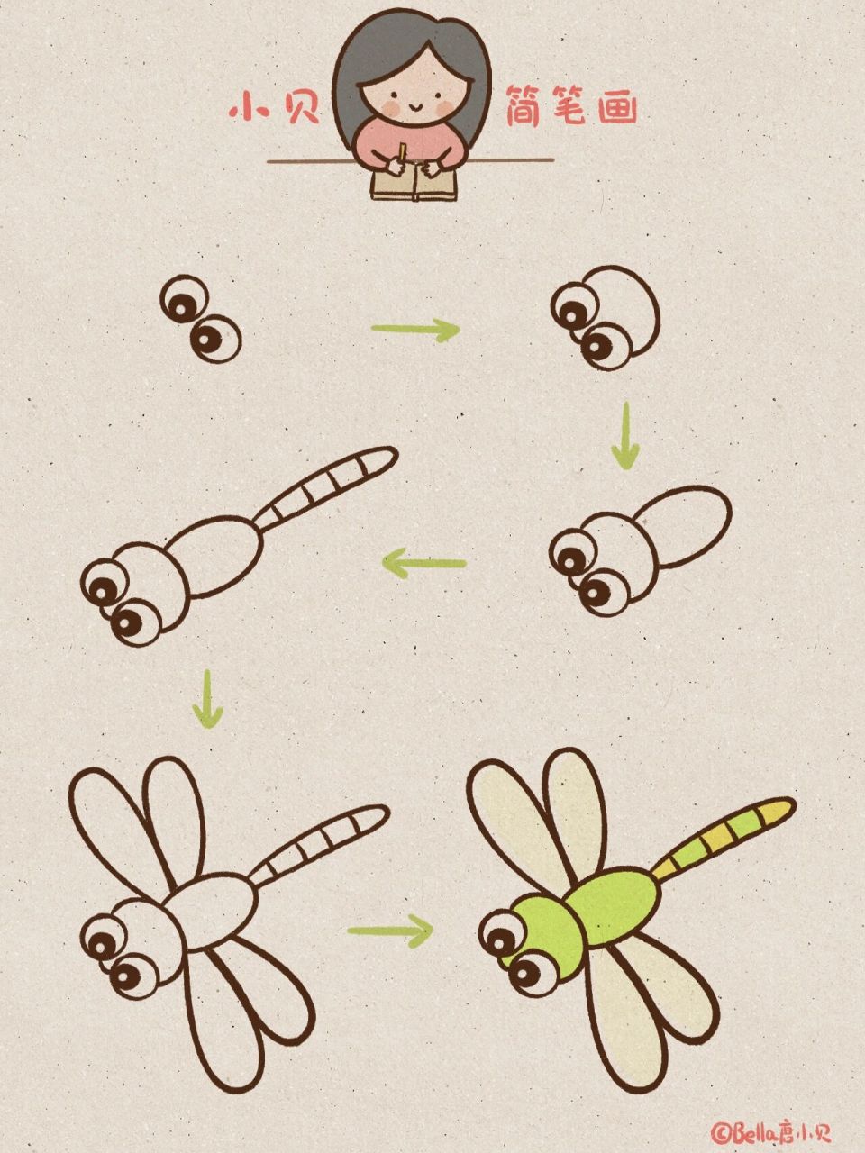 蜻蜓的一生简笔画图片