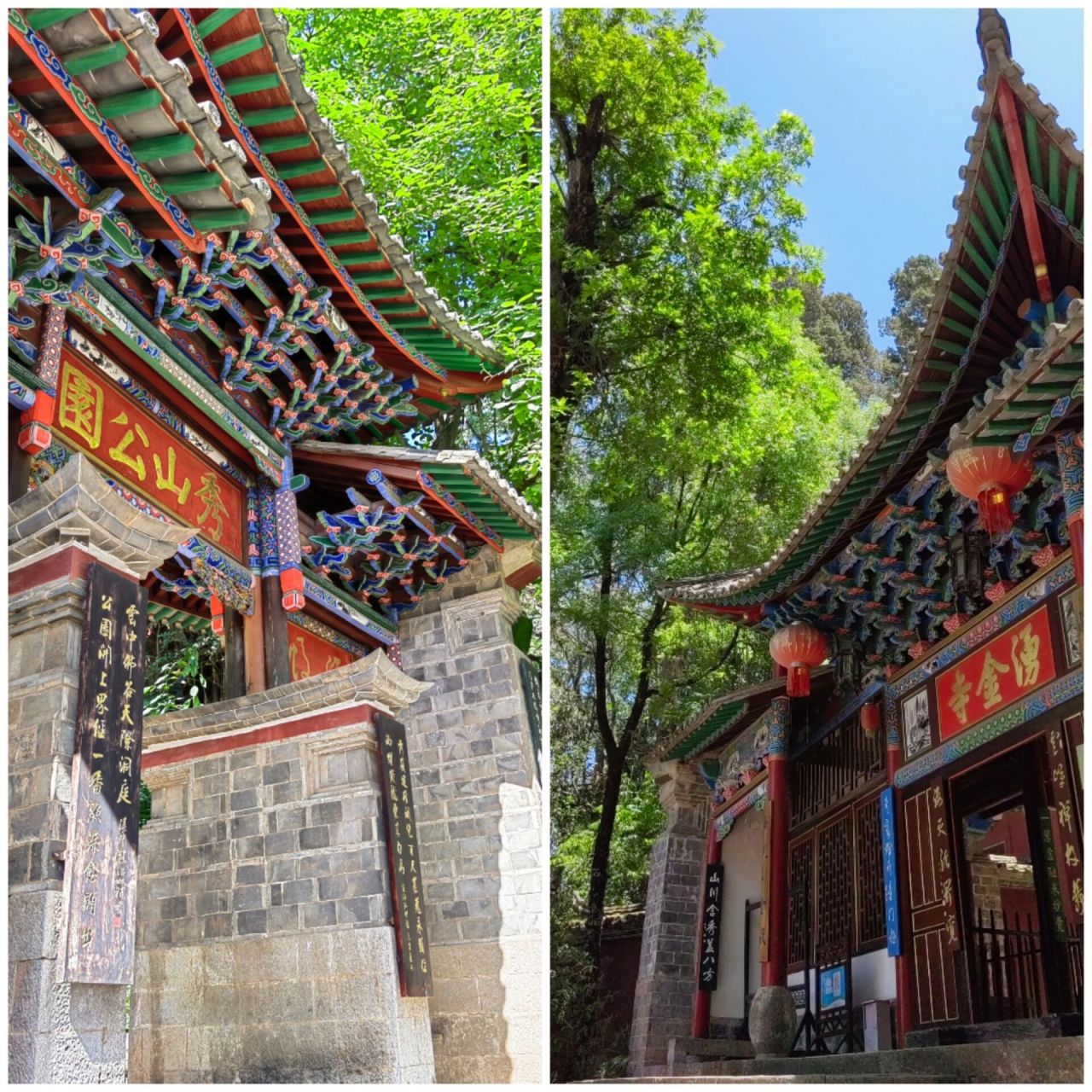 玉溪通海秀山 这是我最喜欢的公园了,离家不远,人不多,元柏宋杉,几