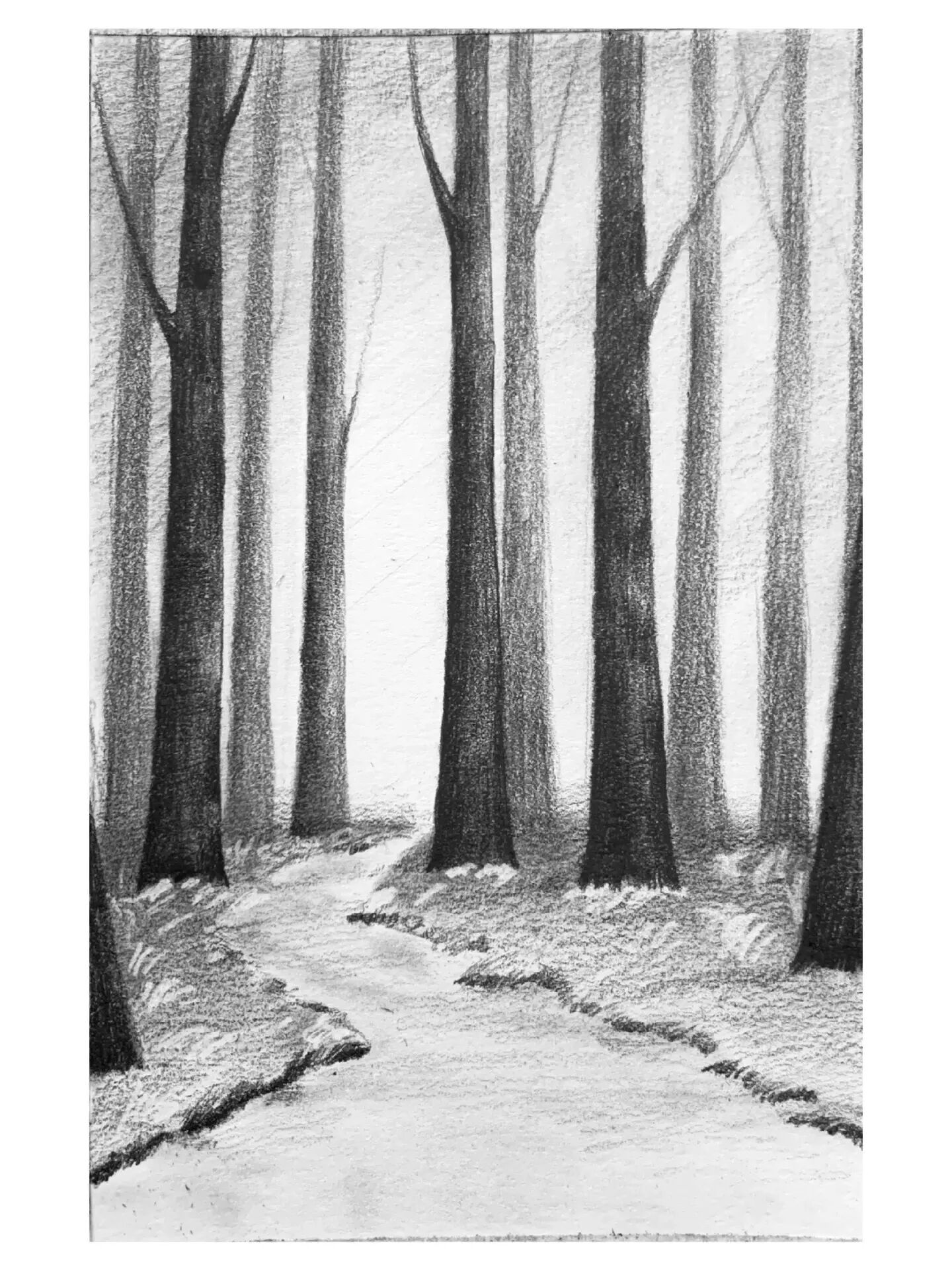 素描森林|一"鹿"有你