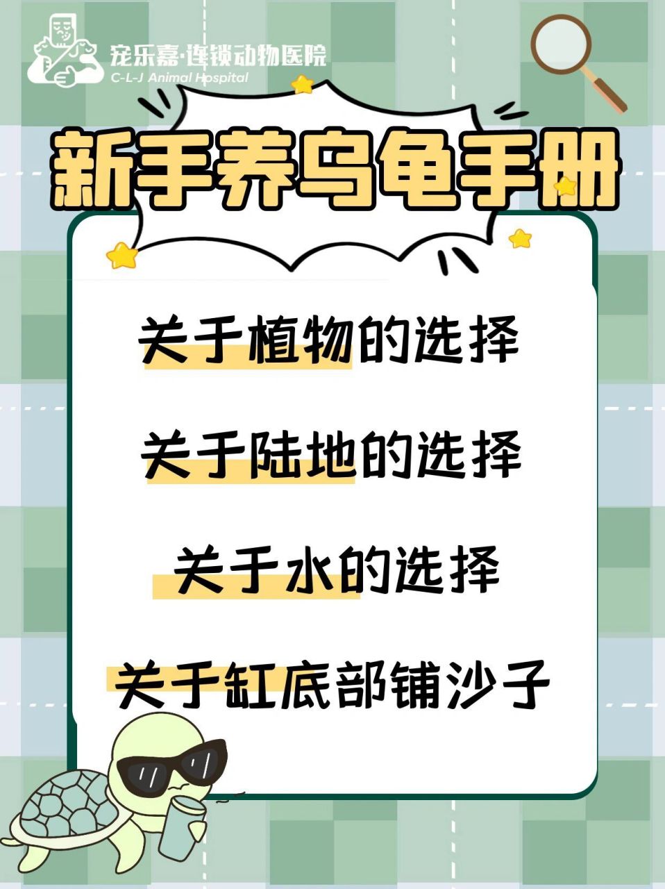 新手必看的养乌龟手册 新手必看的养乌龟手册 95关于植物的选择95