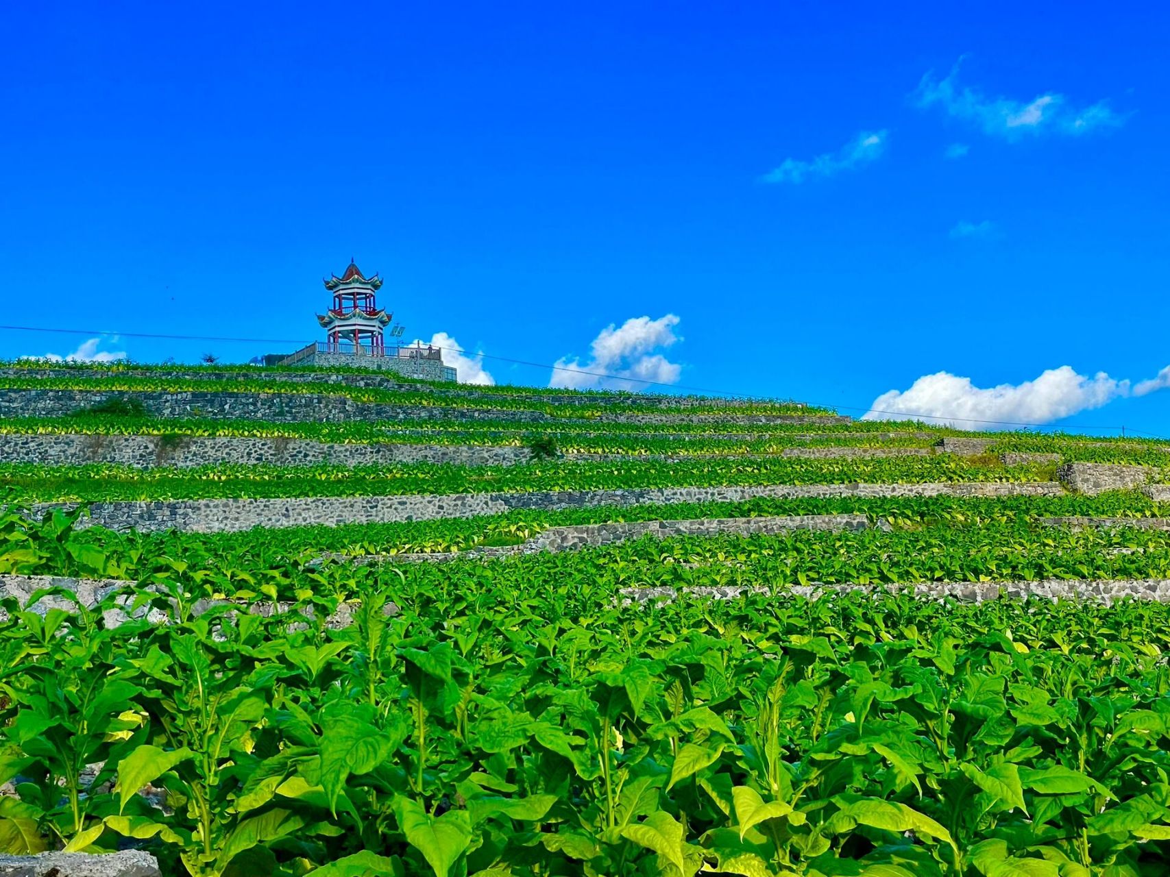 贵州道真避暑胜地