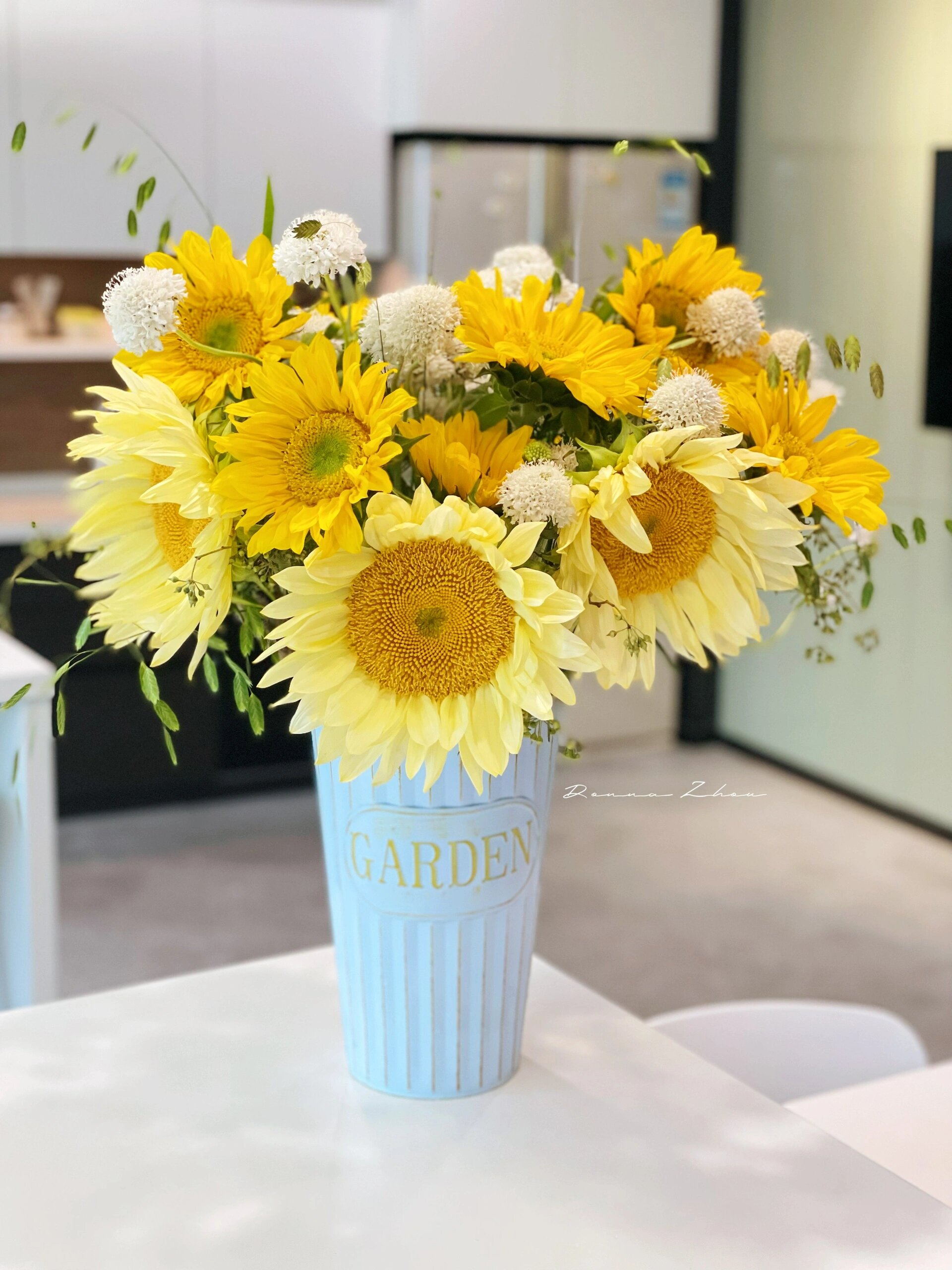 奶油向日葵我真的是第一次养开.