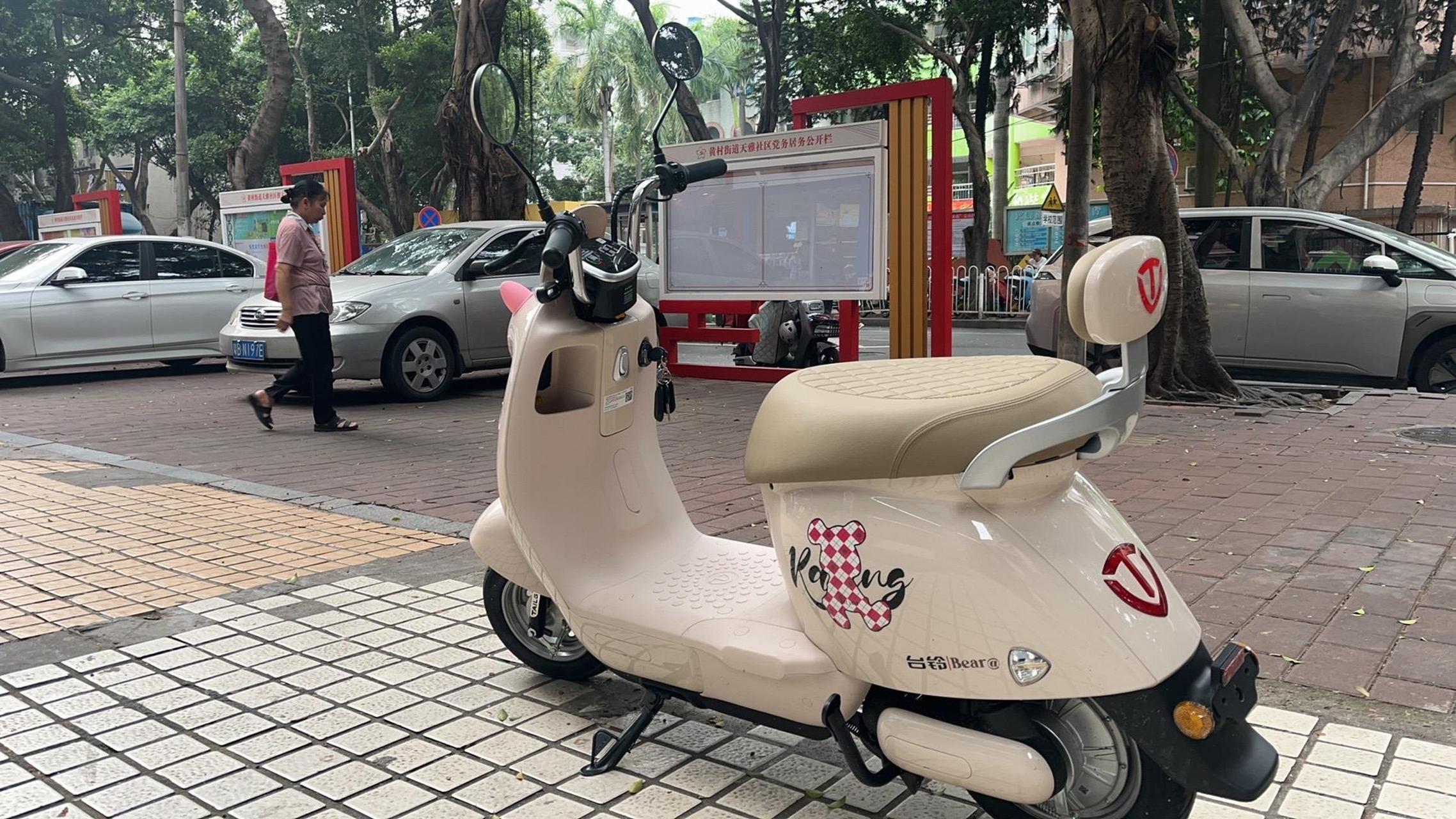 台铃依恋小绵羊.