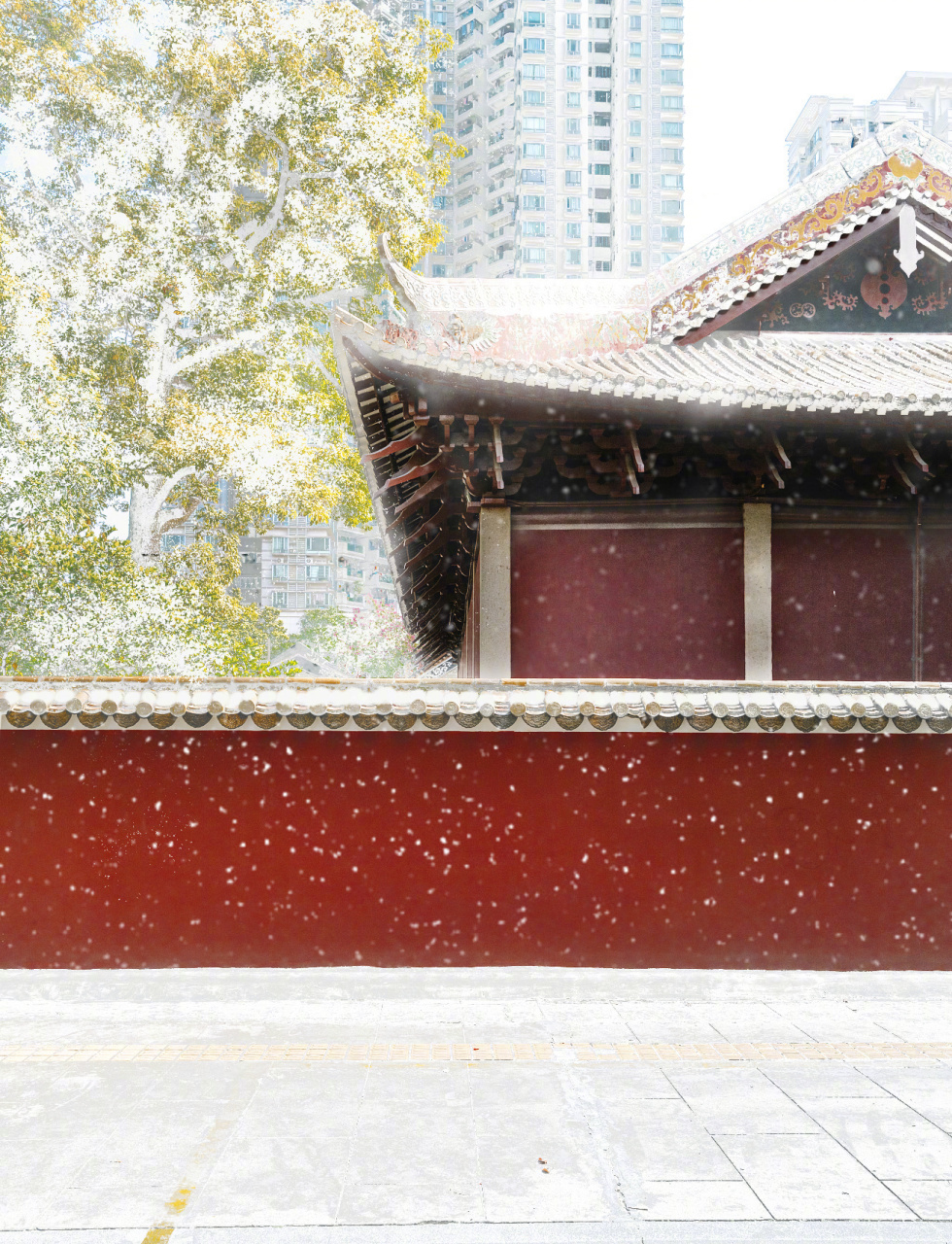 广州雪景图片