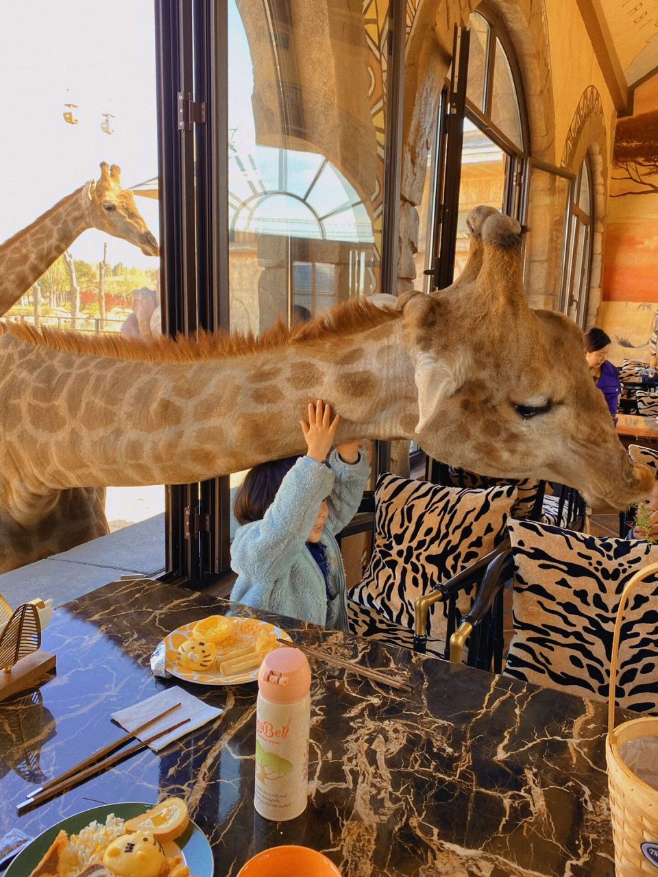 08交通 青岛-济南西 出站打车大概二十几分钟到达欧乐堡动物王国