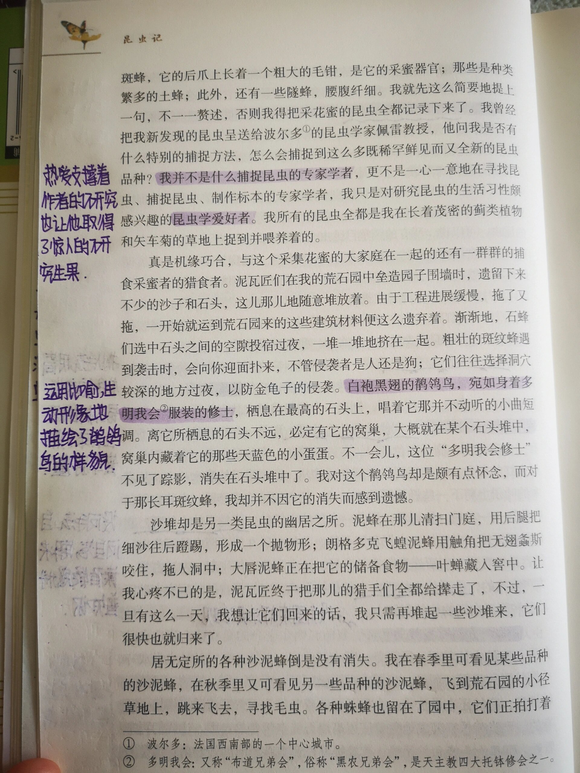 《荒石园》读书笔记