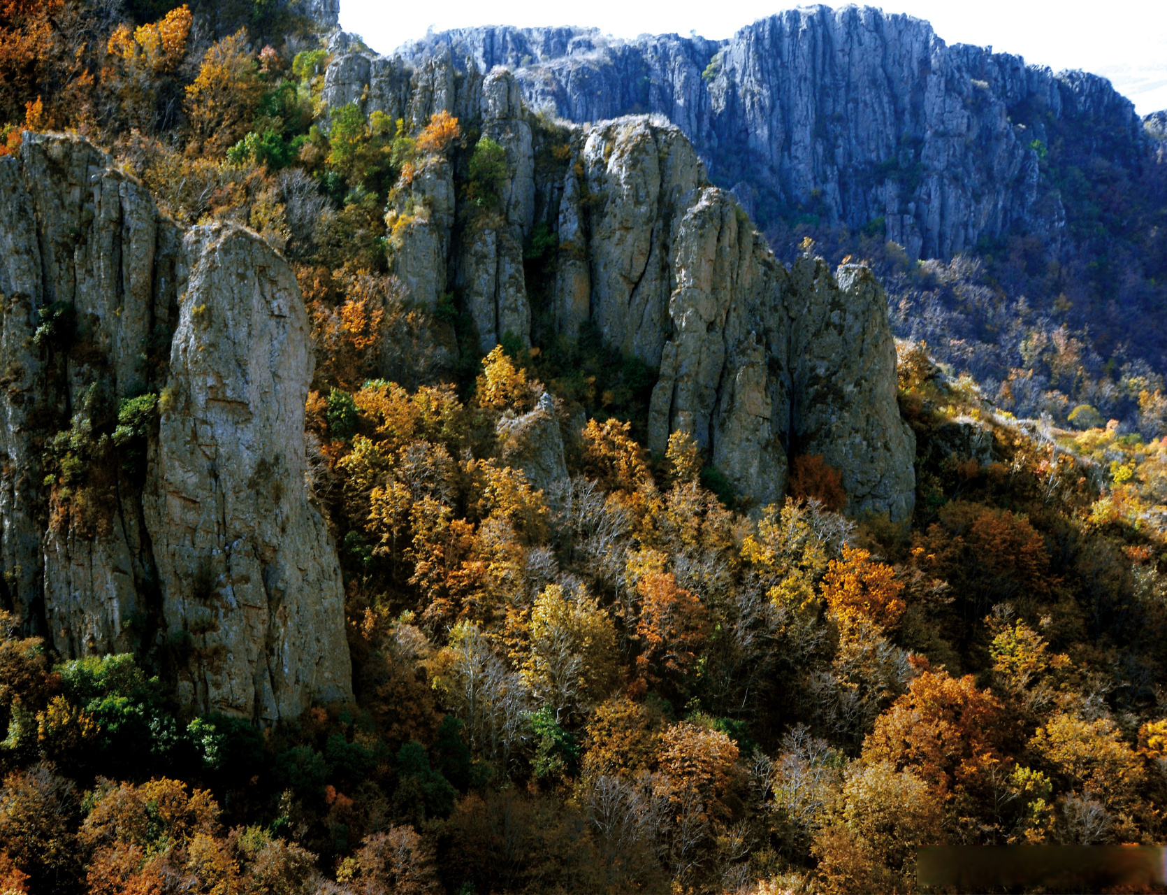 乌兰木图山风景区电话图片