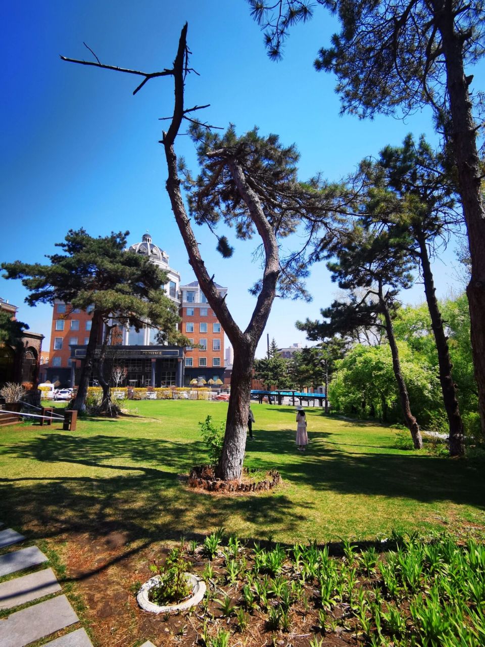 今天去松苑宾馆踩点了 树木都绿了 搭配松苑宾馆的红墙 复古感满满!