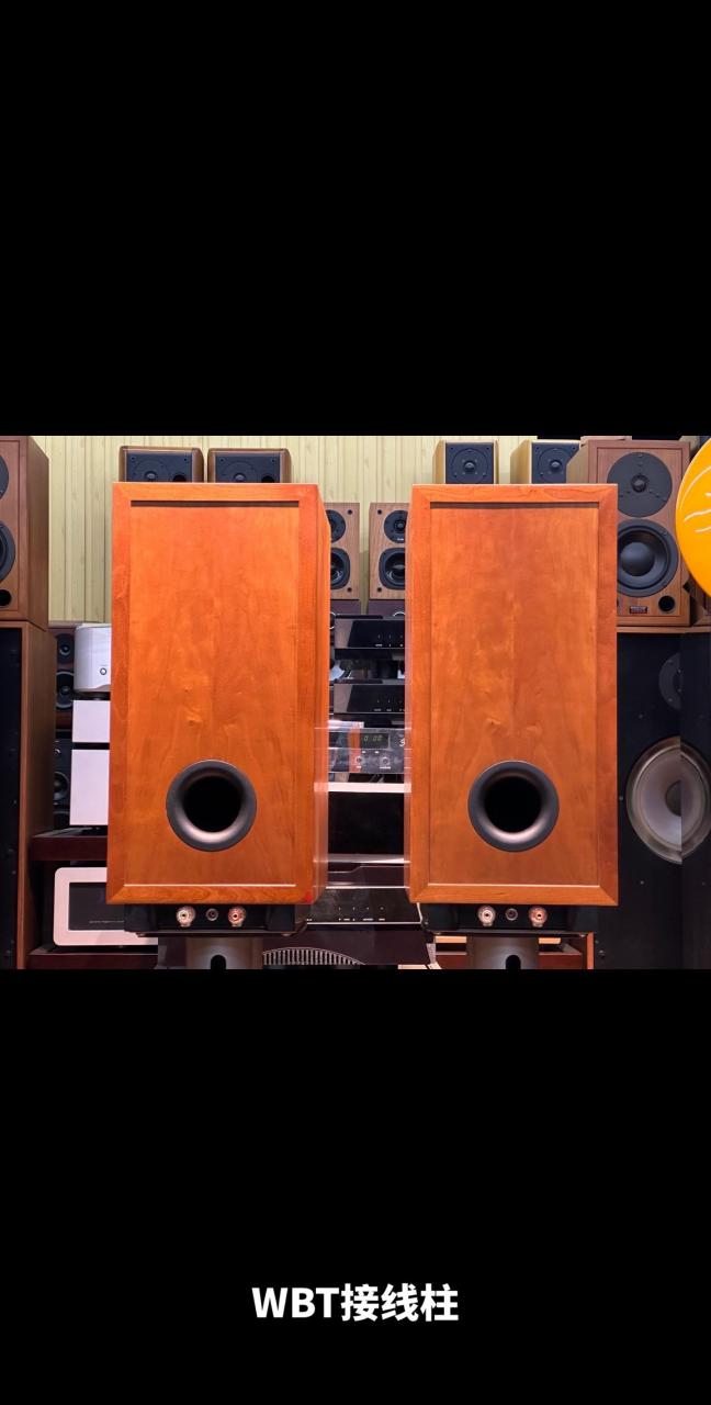 丹麦丹拿信心c3书架音箱原产原装正品.