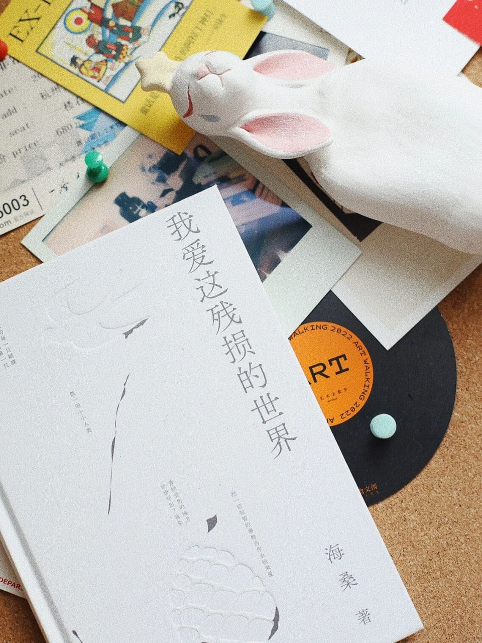 阅读区|我爱这残损的世界|宝藏诗人海桑 98《我爱这残损的世界》