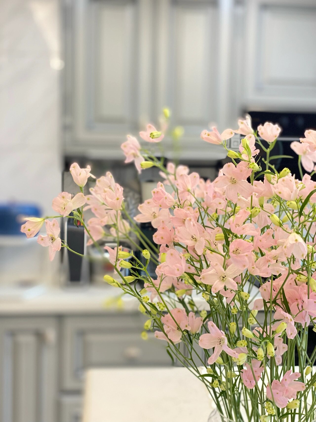 拥有一把韩剧女主的同款花束小飞燕