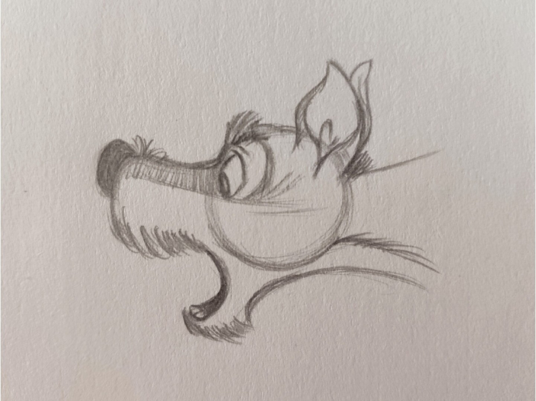 小狗布鲁托简笔画