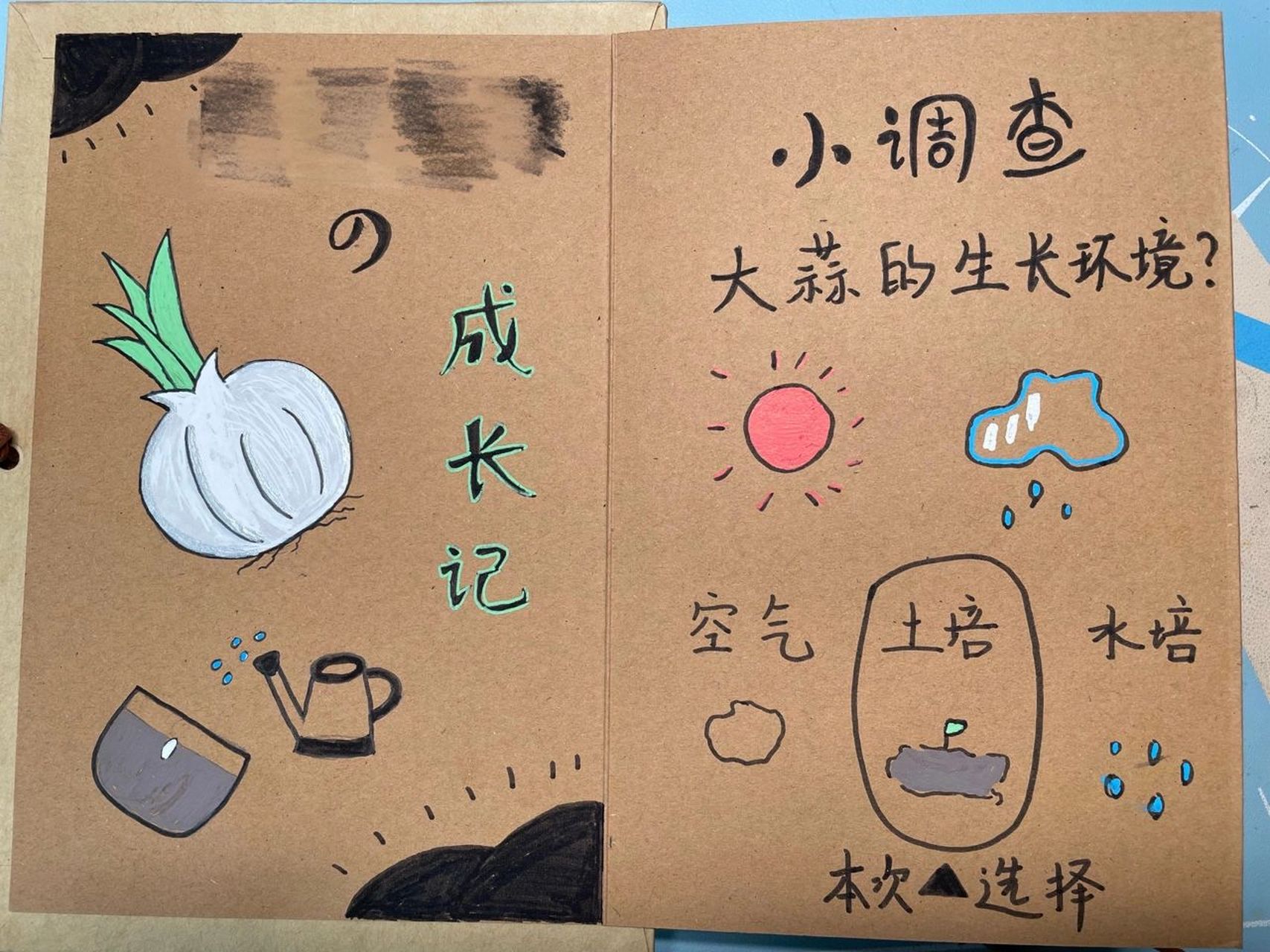 一年级小学生 | 植物生长观察日记·大蒜 这是一年级上学期孩子的寒假