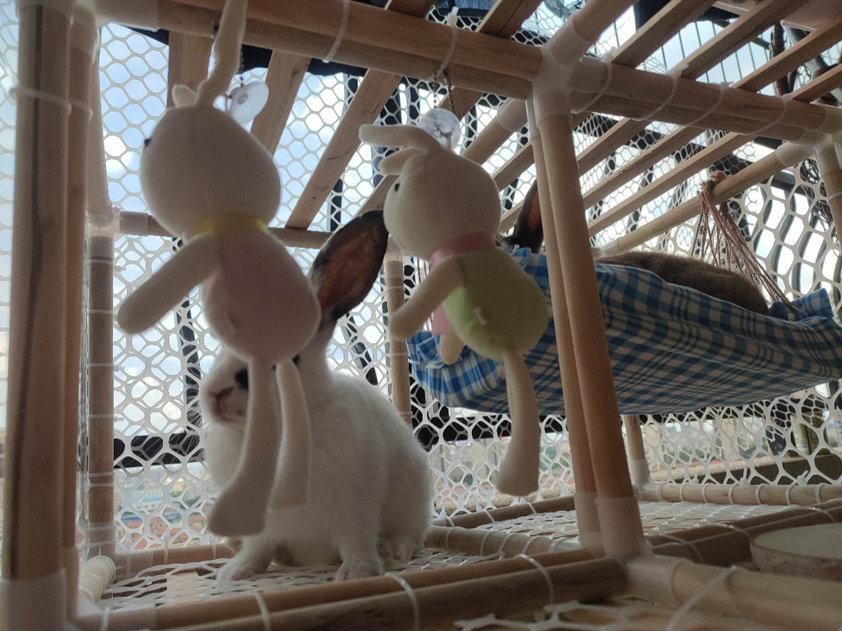 diy兔笼!超便宜! 自制笼子!