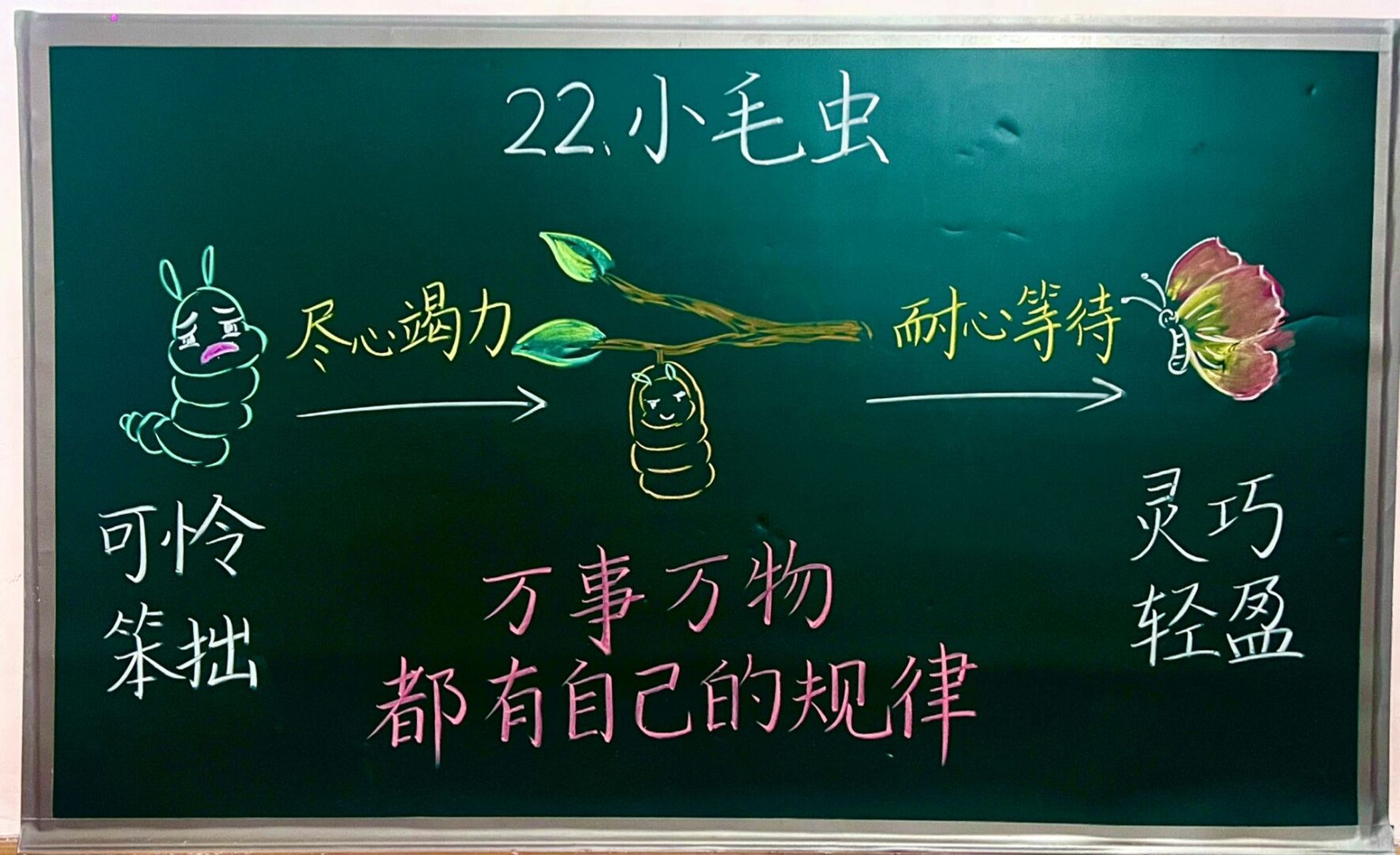 《小毛虫》 #渔沅备课# #二年级语文下册# #小学语文备课# #板书设计