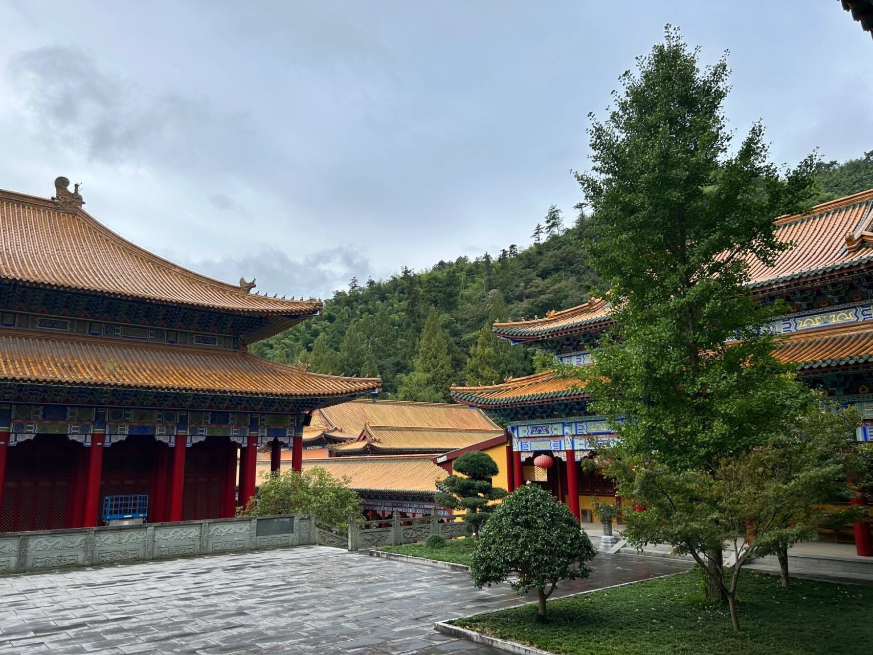 十一自驾游日记96临安天目山景区98 时间:9.30-10.