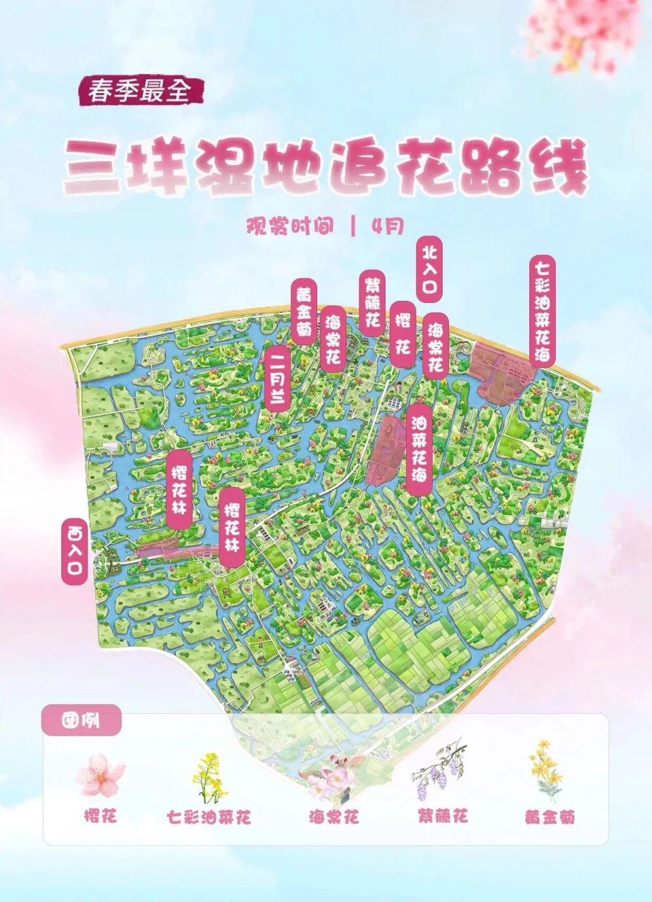 春天里见!三垟湿地追花攻略🌸带你漫赏春天 湿地的春天真的是太美啦