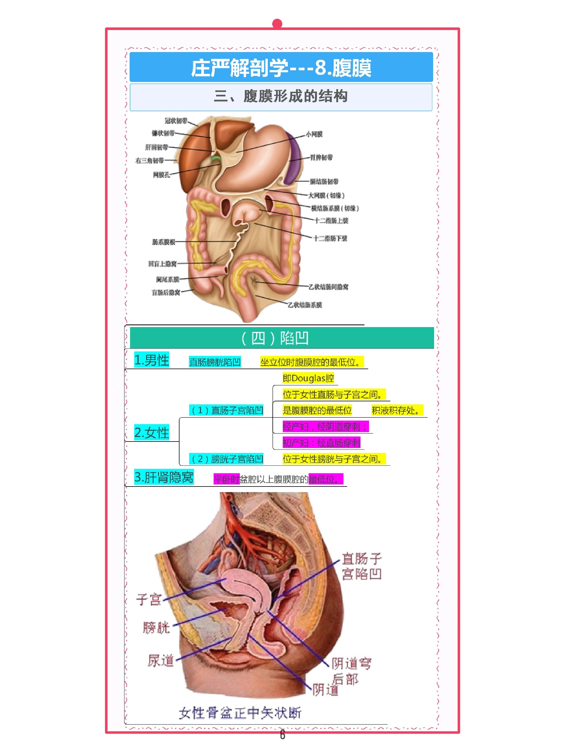 壁腹膜和脏腹膜图解图片