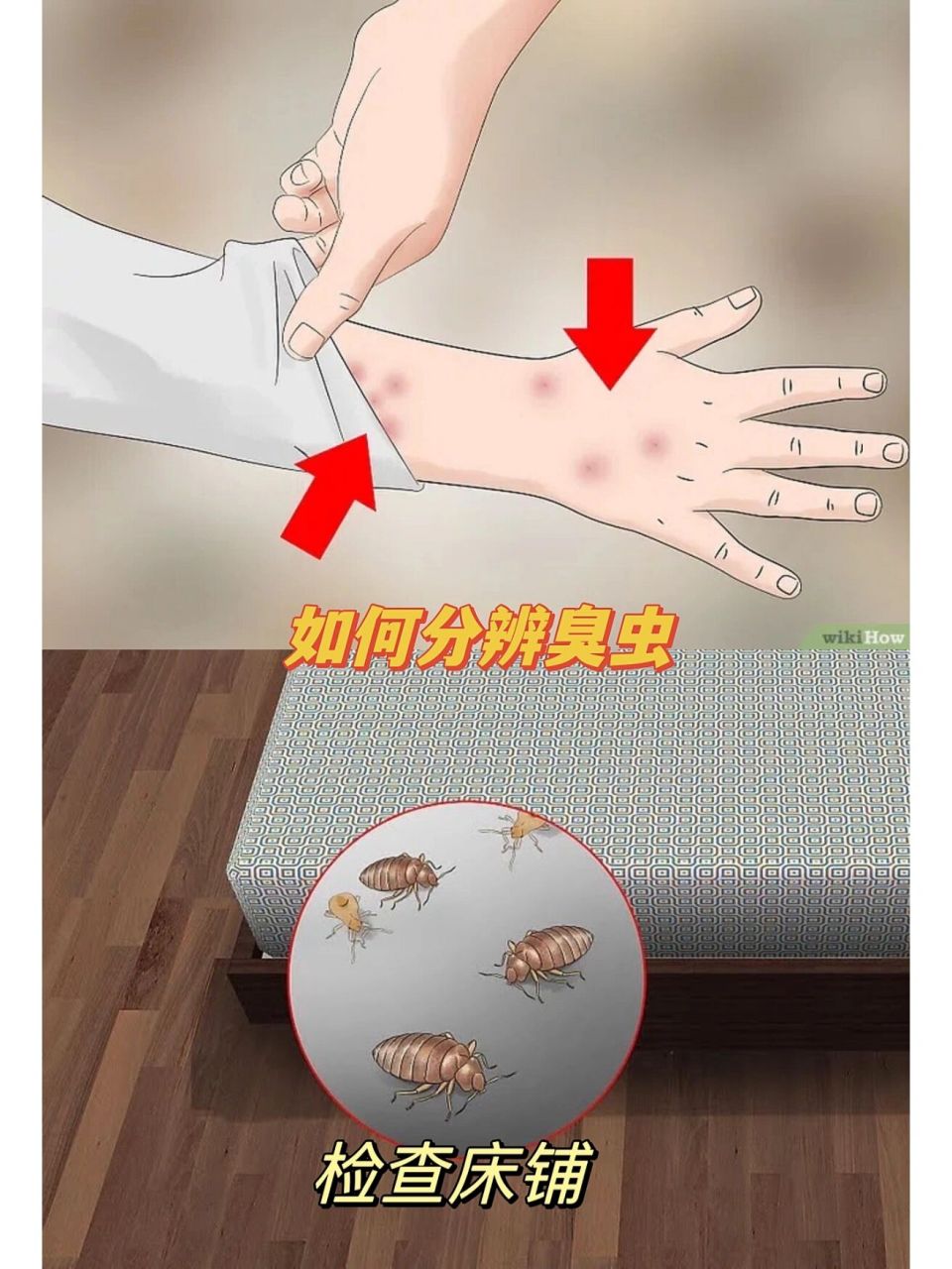 在床上寻找活的臭虫.仔细检查床上是否有长约0.1到0.
