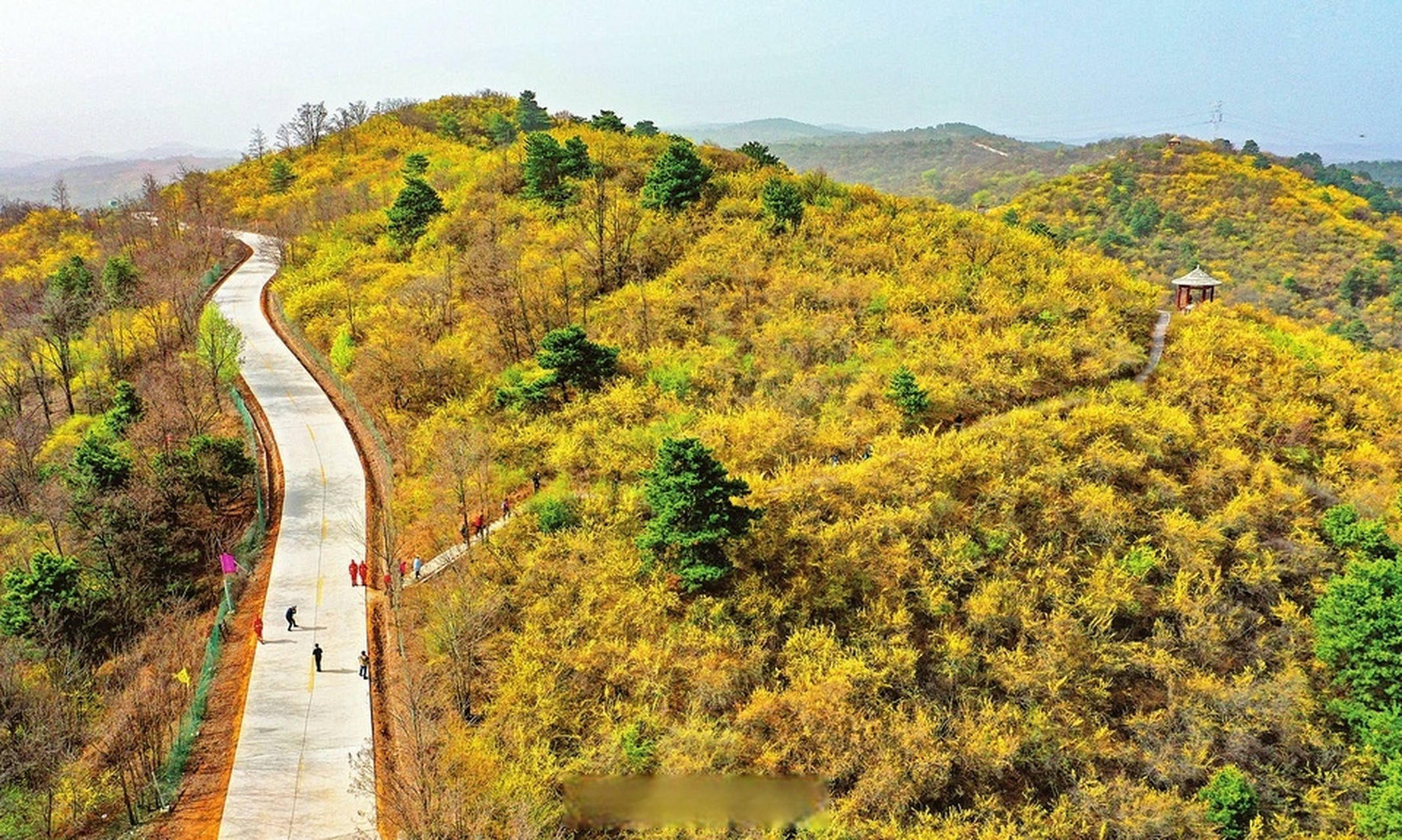 【黄花岭 赏春光】4月12日,游人在临汾市安泽县黄花岭赏花游玩.