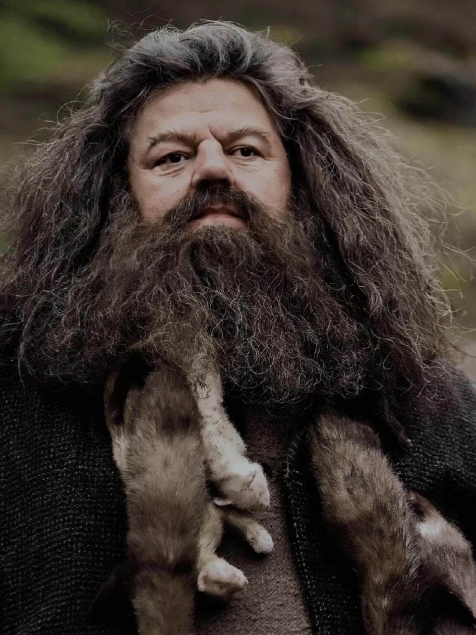 鲁伯·海格 rubeus  hagrid 血统:混血巨人 出生日期:1928年12月6日