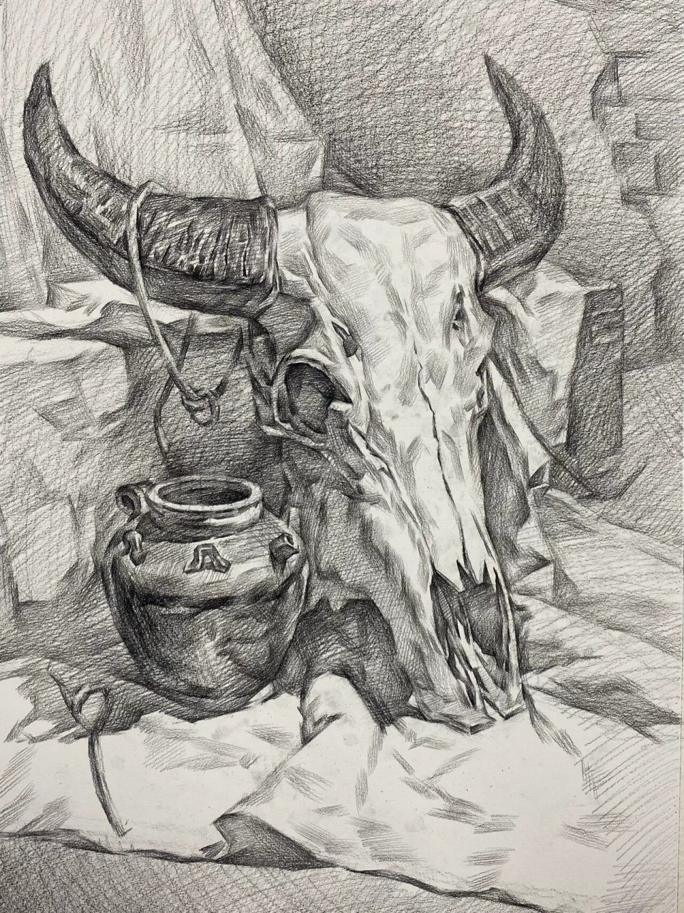 素描静物(羊头) 素描静物羊头步骤图