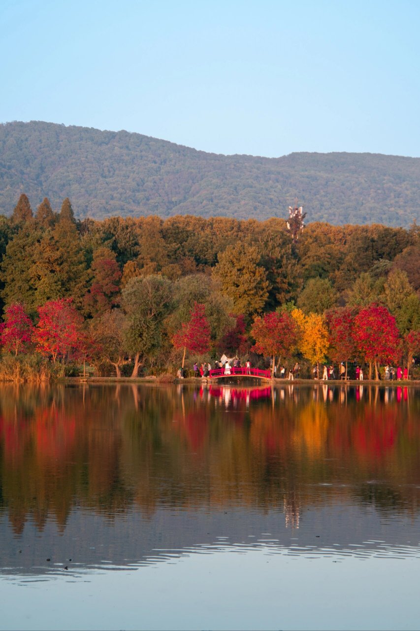 南京的秋天!前湖公园!   定位明城墙缺口处!
