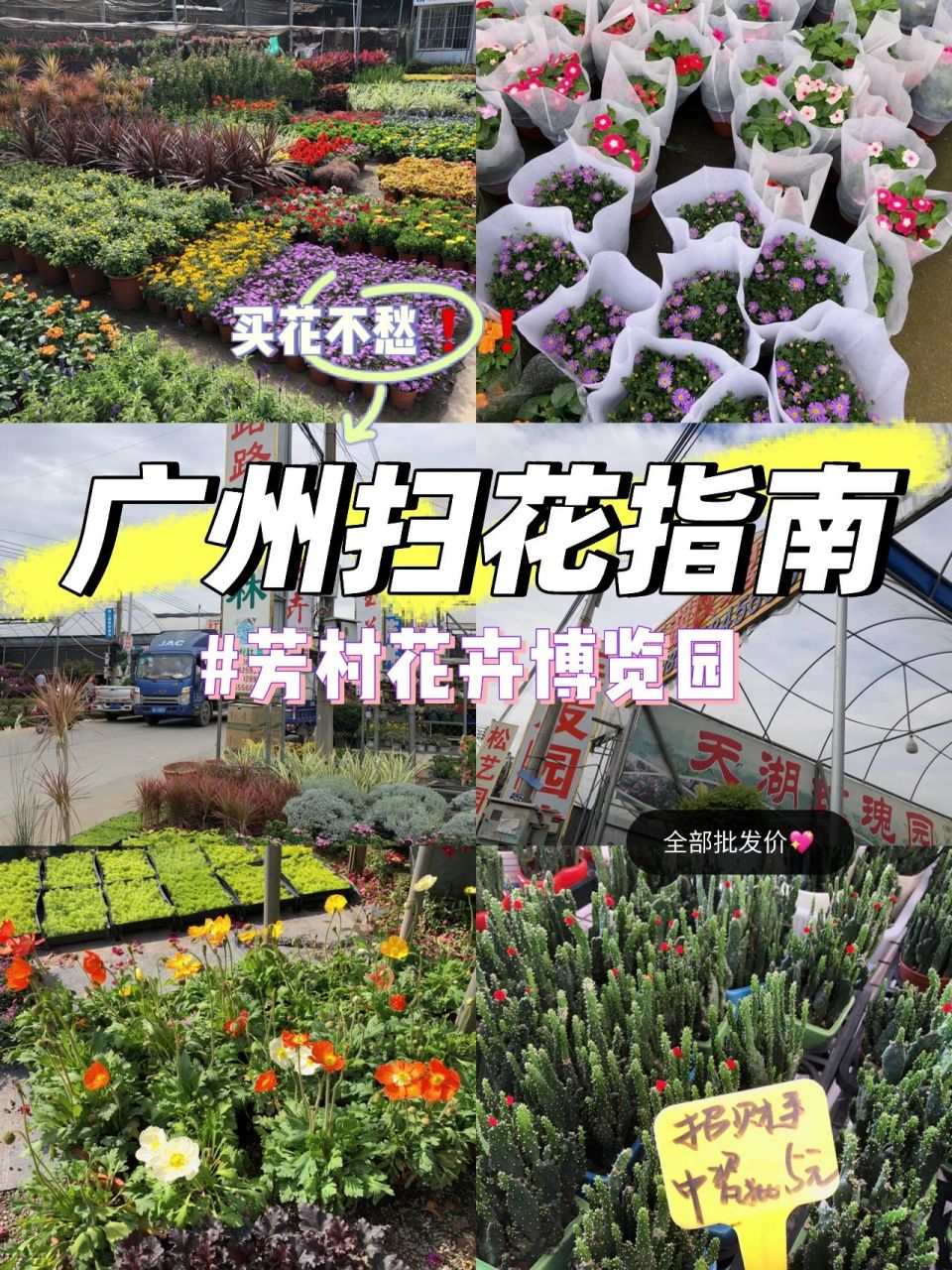 广州最大绿植批发基地图片