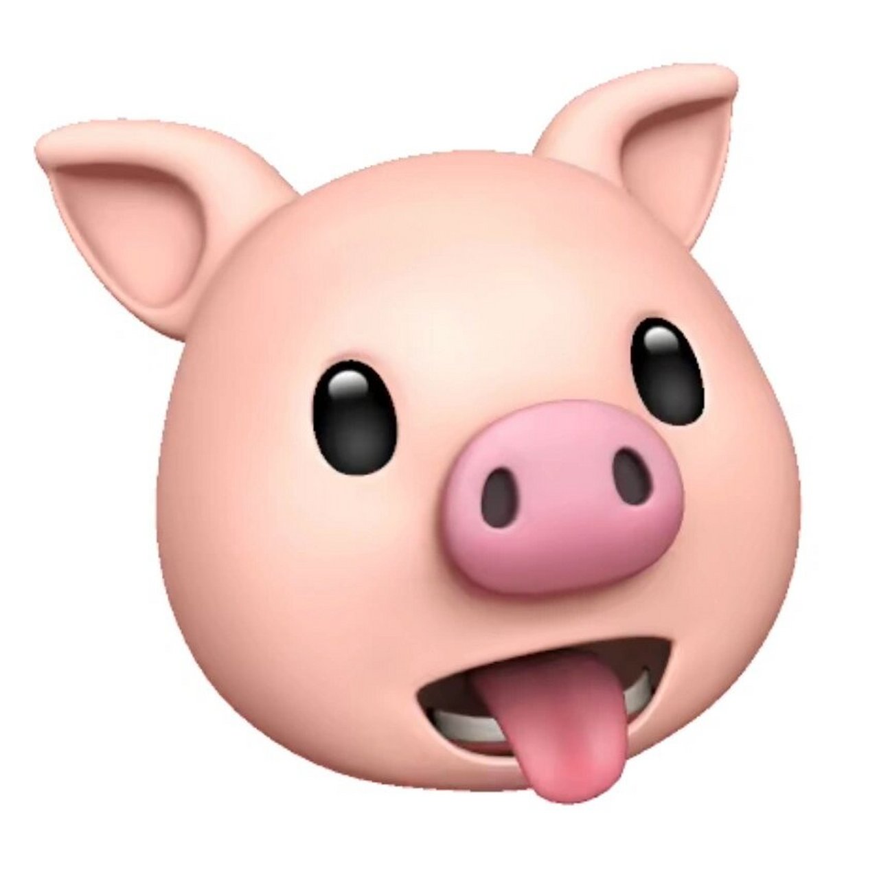 猪头图片 小猪小猪呼噜噜99 可爱又治愈90 希望在平淡的生活中