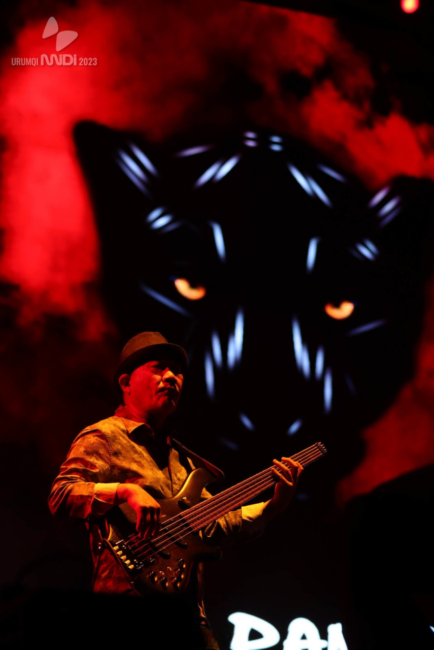 迷笛学校30年# 2023#乌鲁木齐迷笛# 音乐节圆满收官!