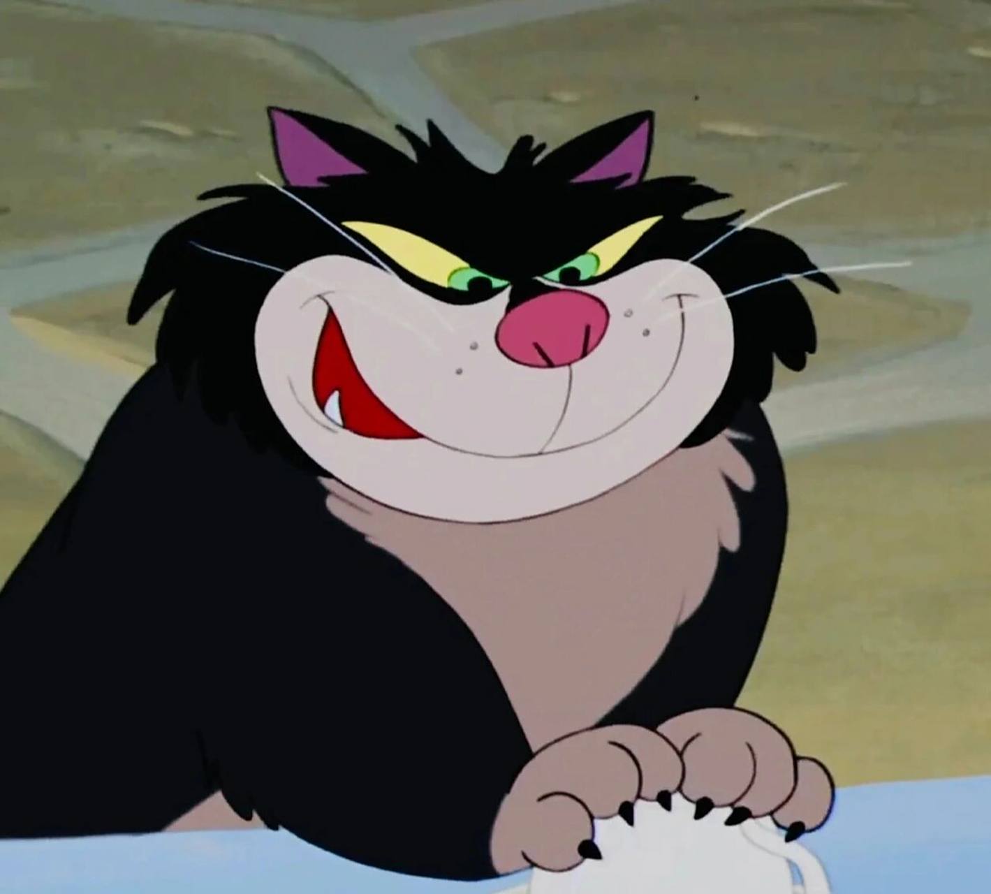 坏猫猫路西法 近期的心头爱,怎么可以又坏又可爱的97