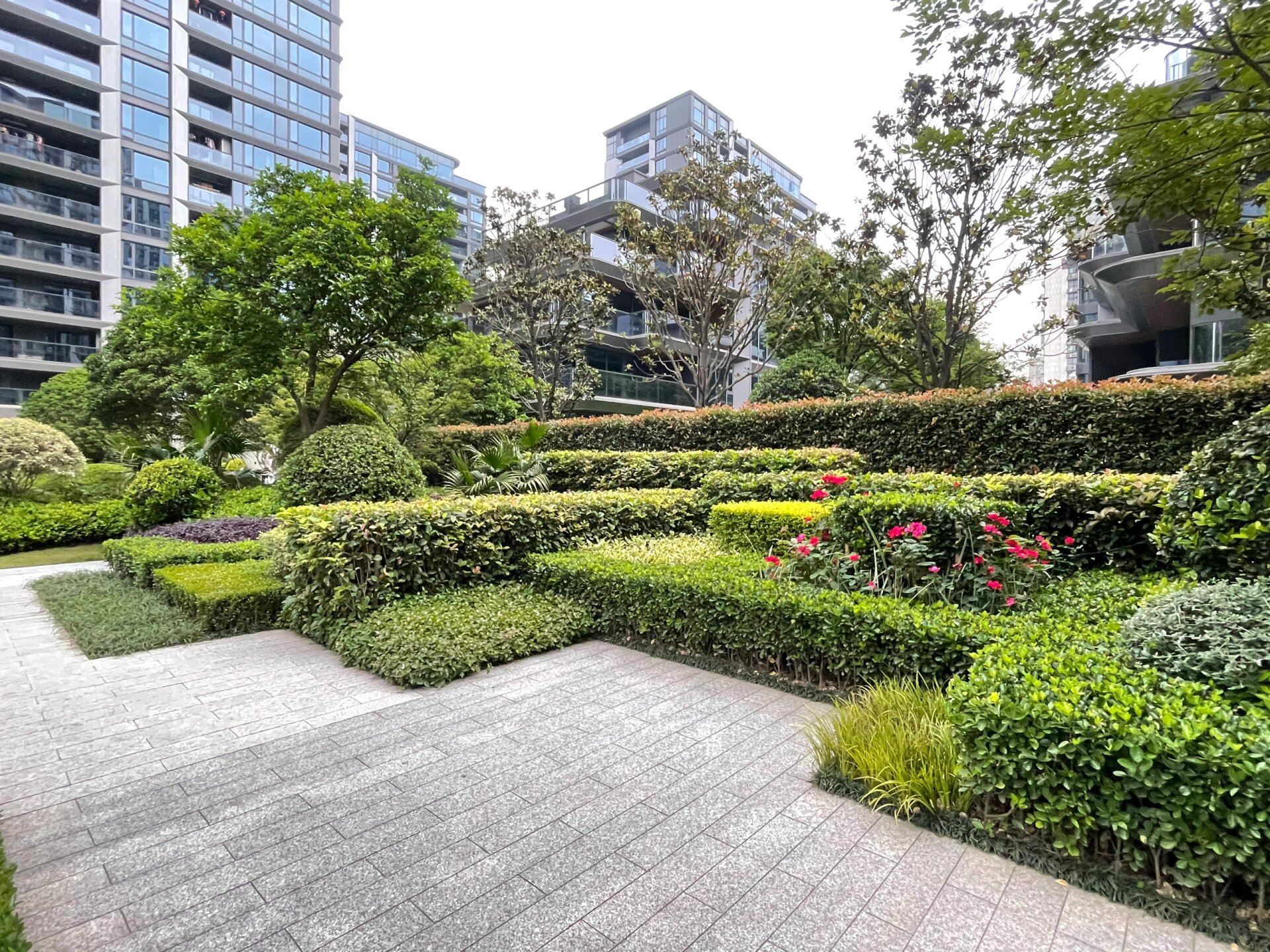 植物搭配—规则式种植|绿篱带