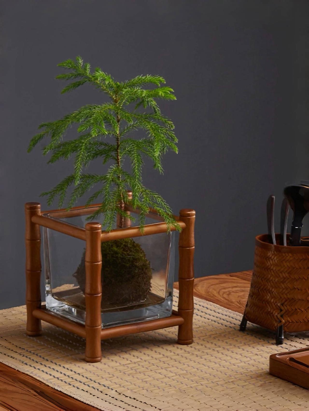 父母,作为我们生命中最早的引路人,他们的言行举止如同春雨般润物无声