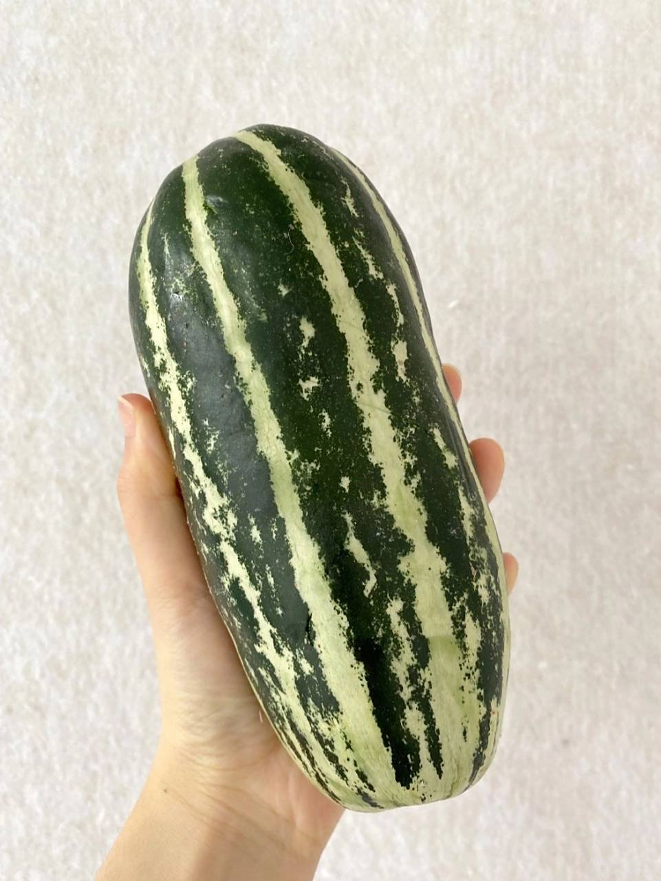这个瓜超市里叫玻璃翠,其实就是博洋9号甜瓜,除了花皮外表,其他都和
