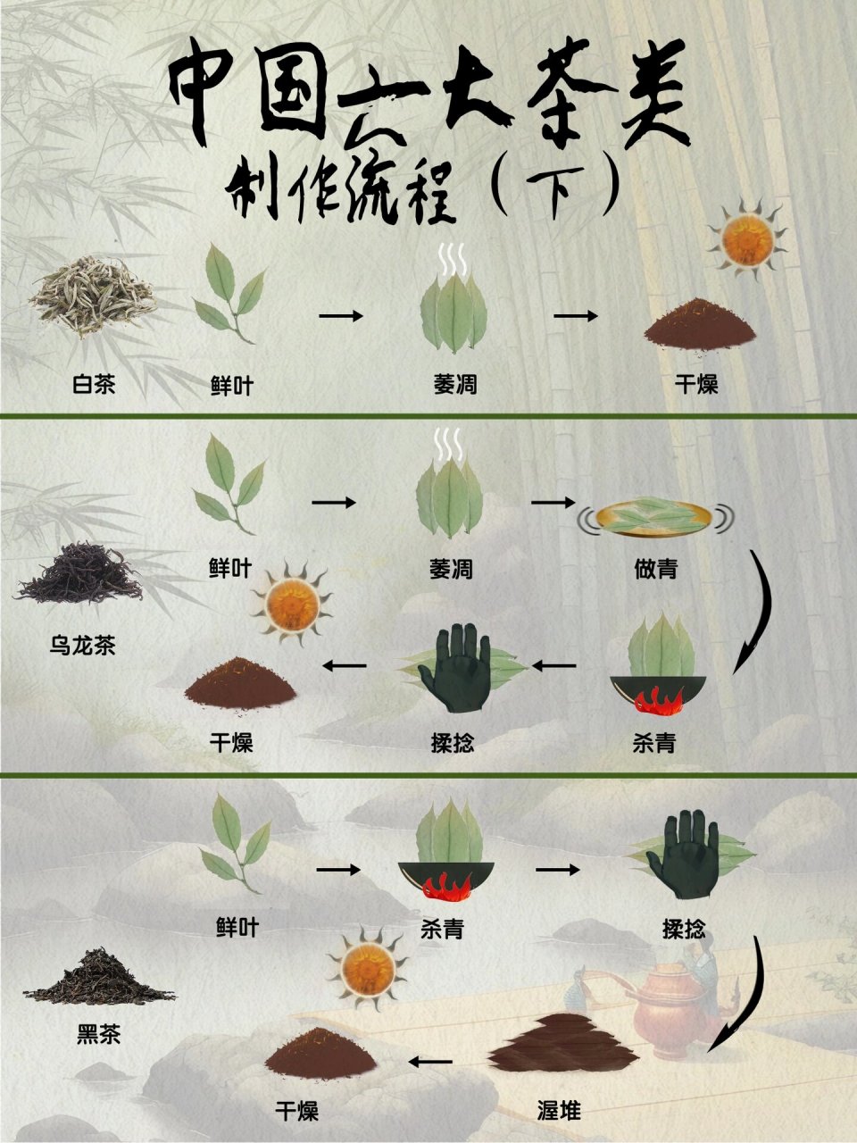 中国六大茶类的制作流程图(下) 书接上文,这期我们讲讲另外三种茶的