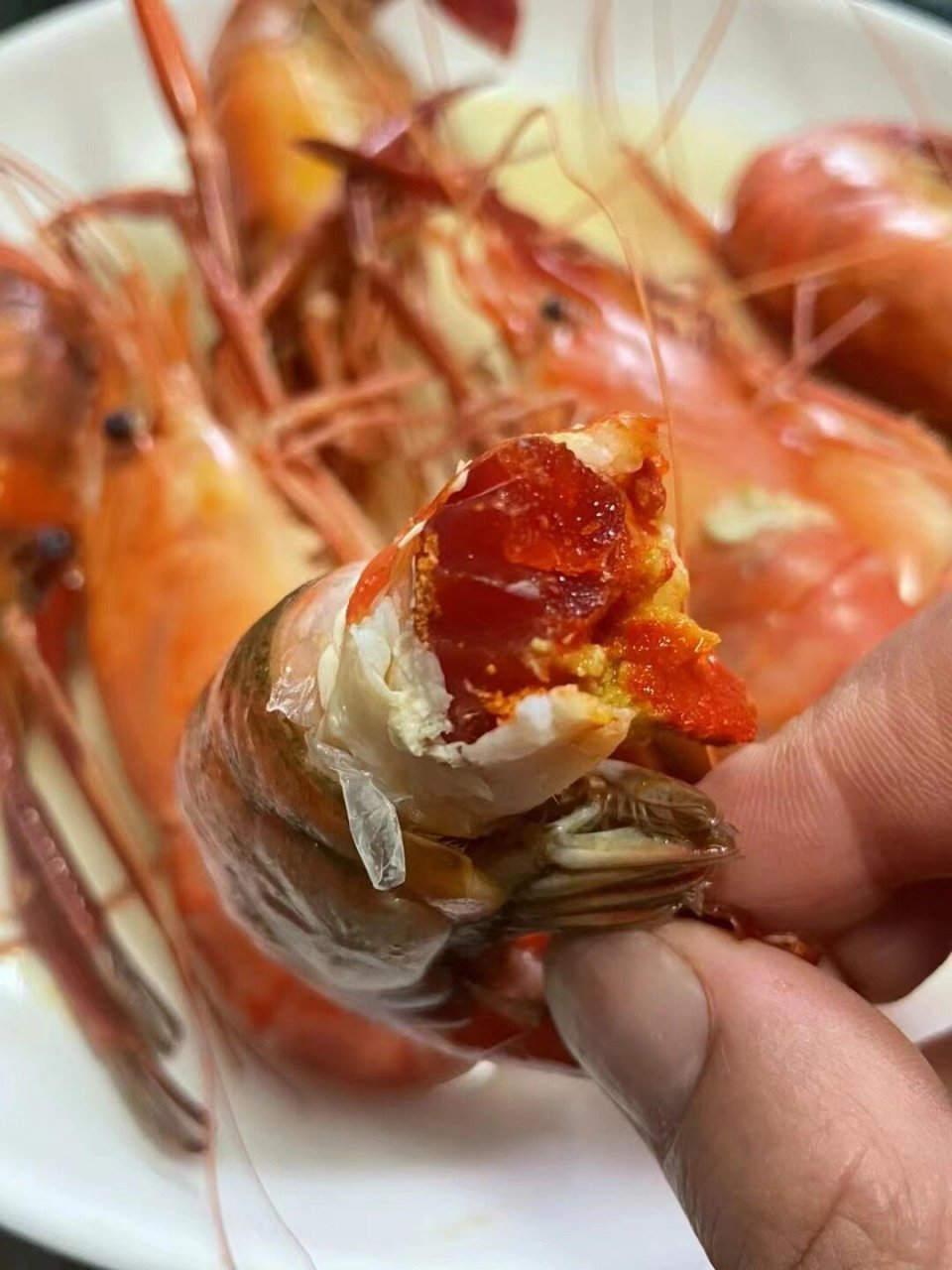 时令美食太湖一号大虾 肉质鲜美虾膏足 蒜蓉,清蒸,白灼都很好吃97