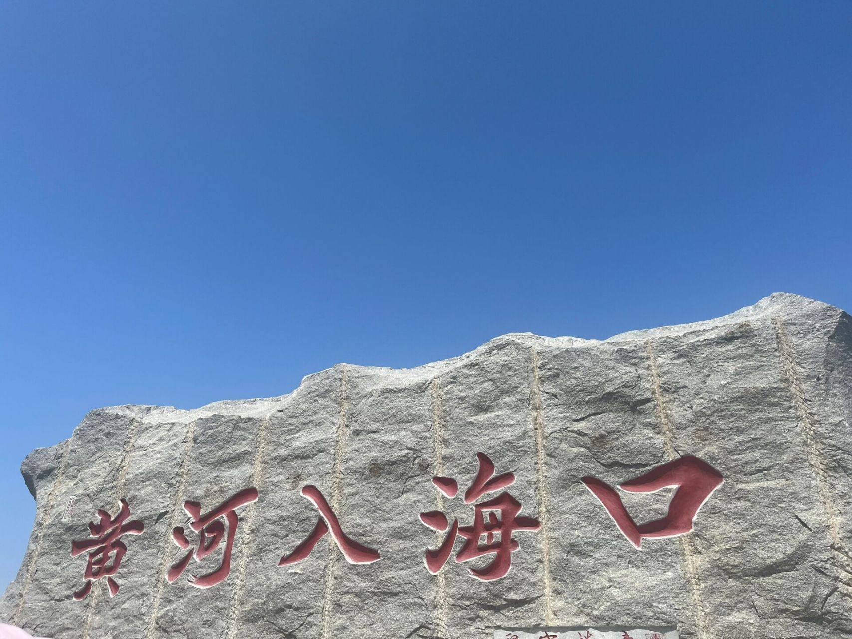 黄河入海口      分享点平静简单的旅游95 东营这个说大不大的城市