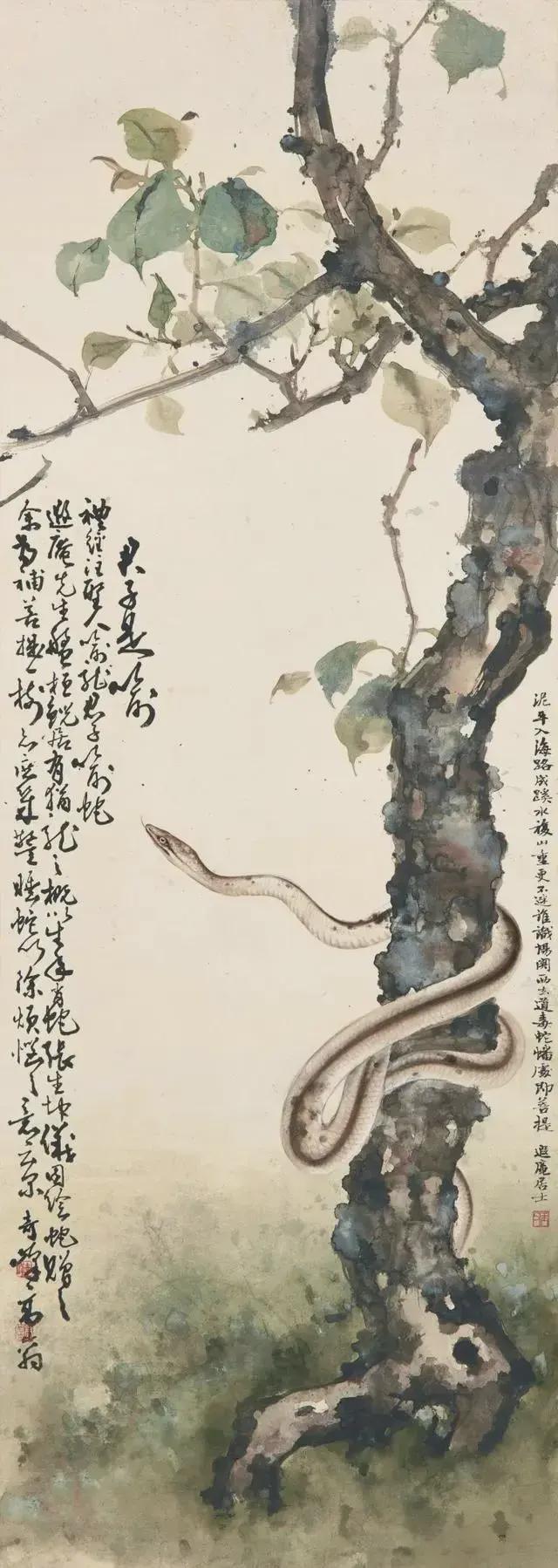 蛇,这神秘的生物,在寒冬中蛰伏,随着春意盎然,它们苏醒过来,舞动着