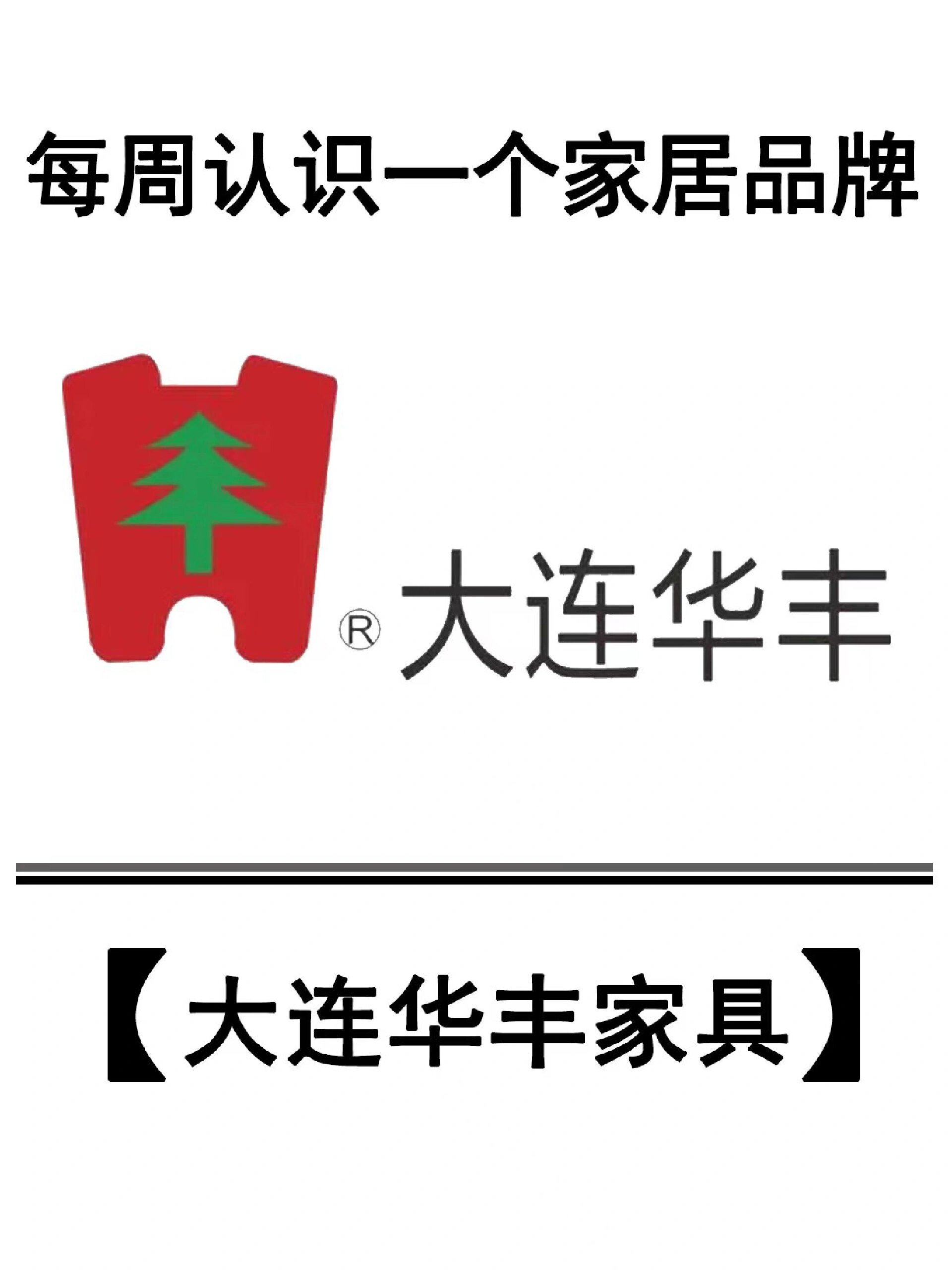 大华丰视logo图片