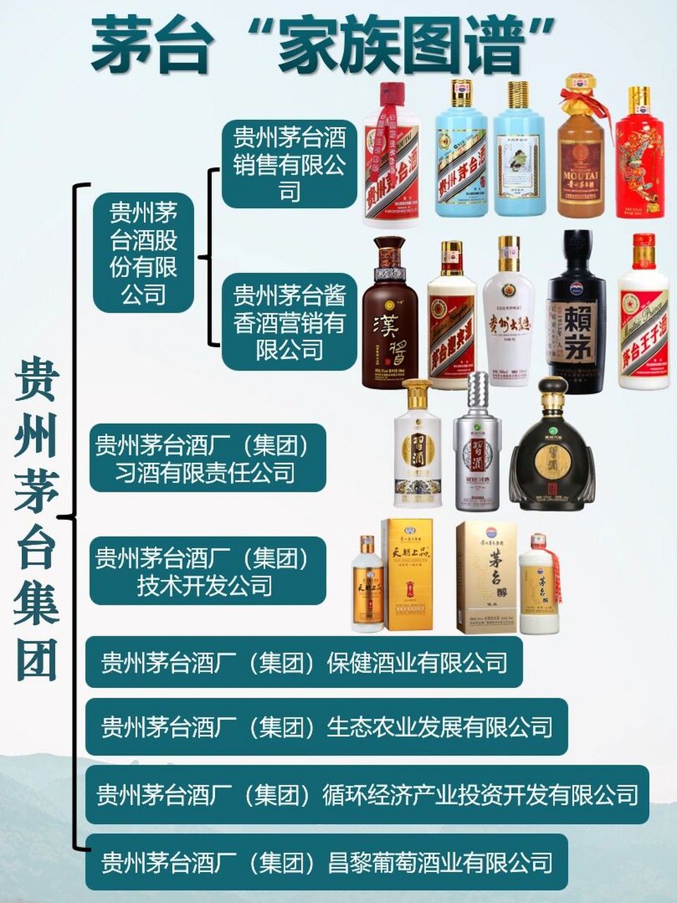 茅台家族图谱01原来这些酒都属于茅台集团6015 经常在很多酒上