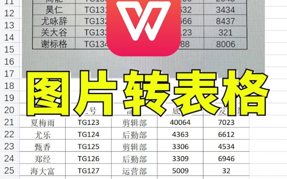 【wps表格】如何把图片转为excel表格 043