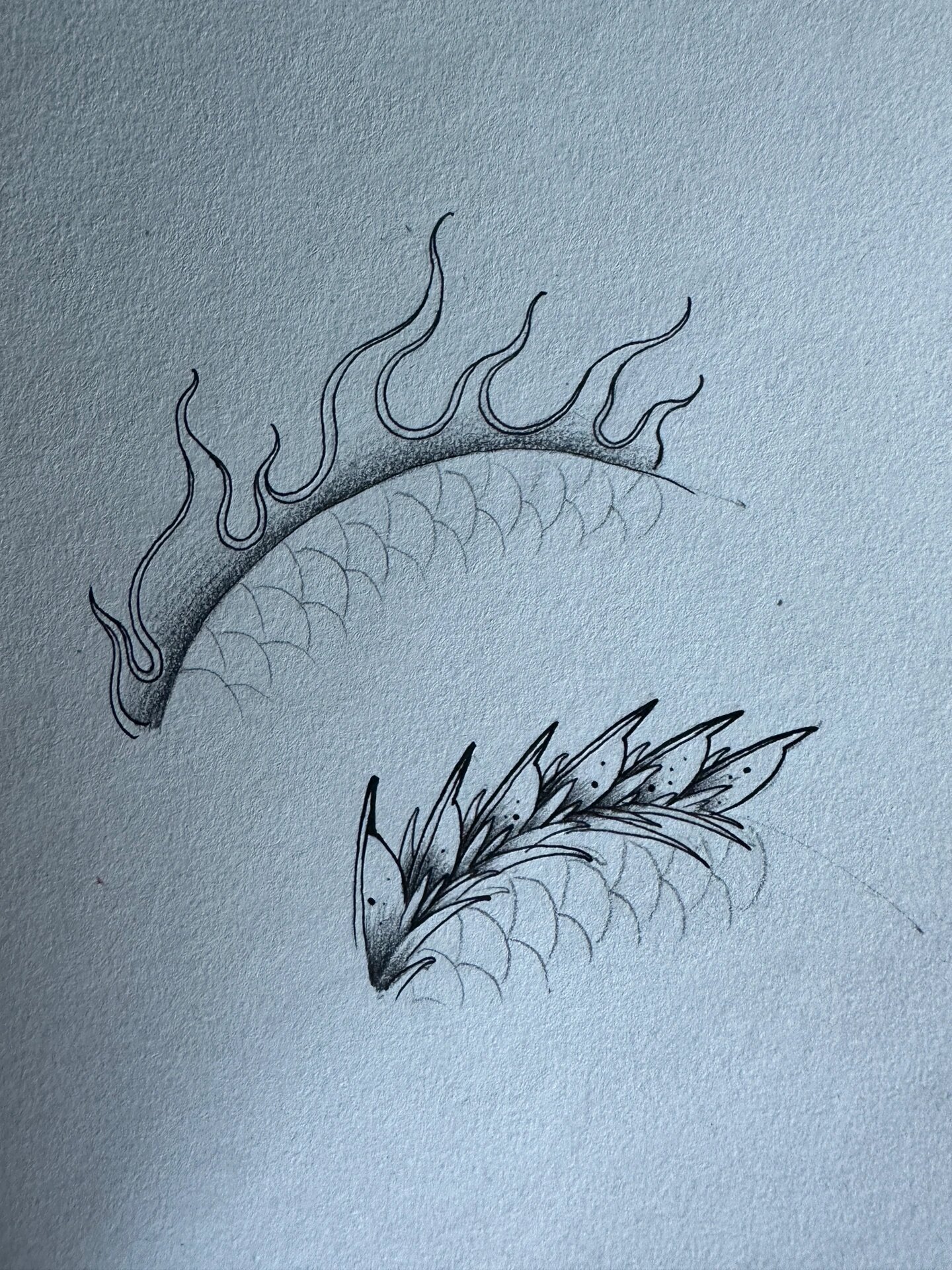 龙 背鳍设计教学