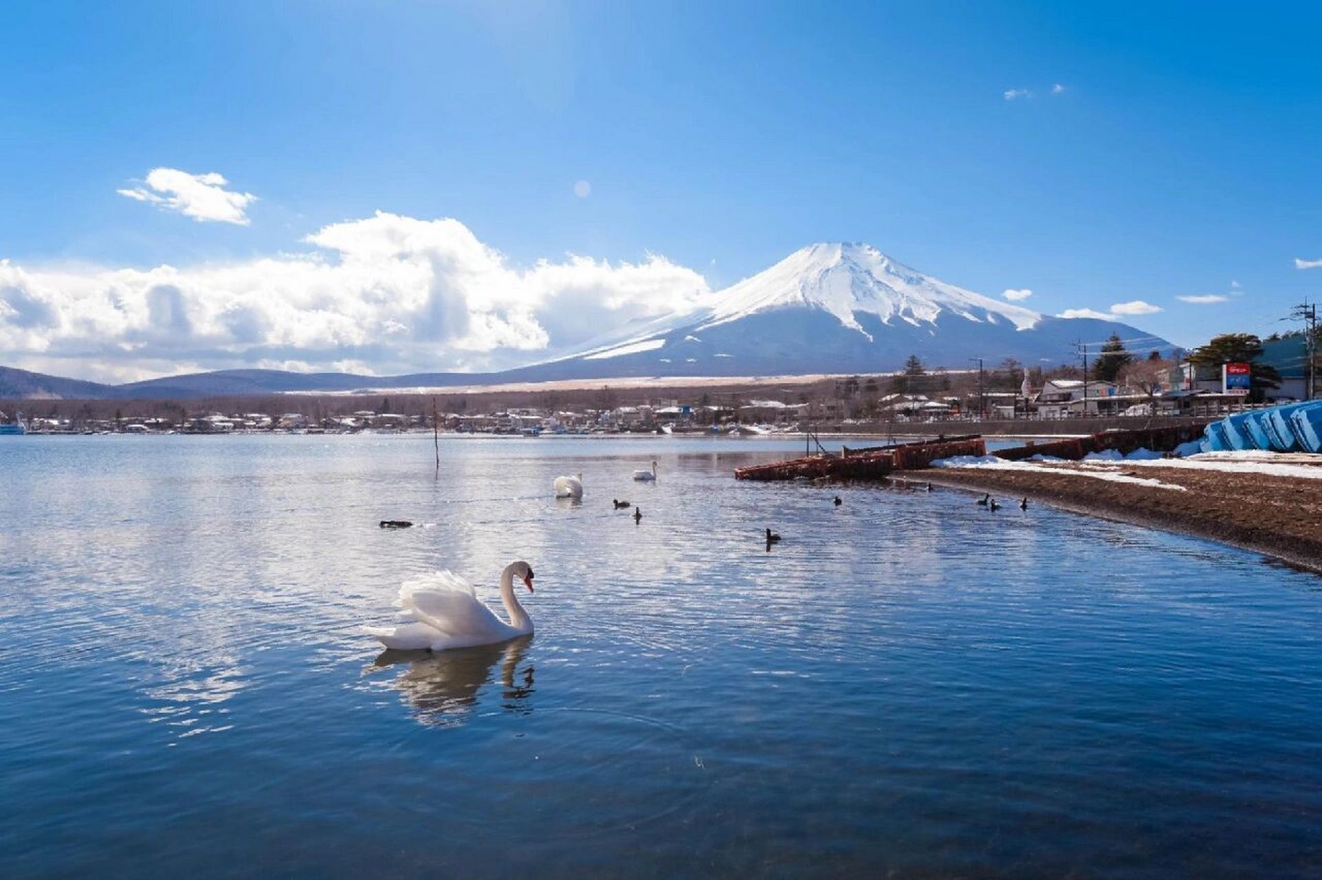 科普一下‖日本‖富士五湖‖~ 富士五湖~ 是指位于富士山靠山梨县一侧