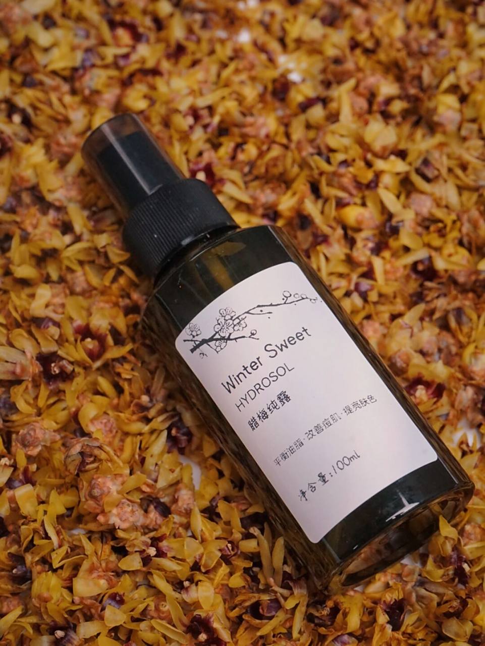 新鲜腊梅纯露 寒冬腊梅的季节,蒸馏一锅香香的腊梅纯露吧,一比一蒸馏