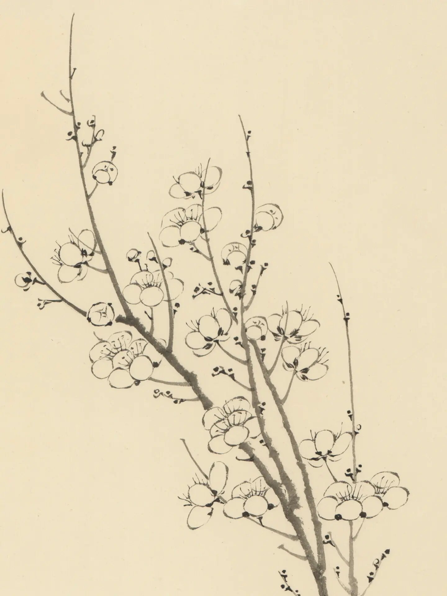 梅花教学范画•王冕《墨梅图》