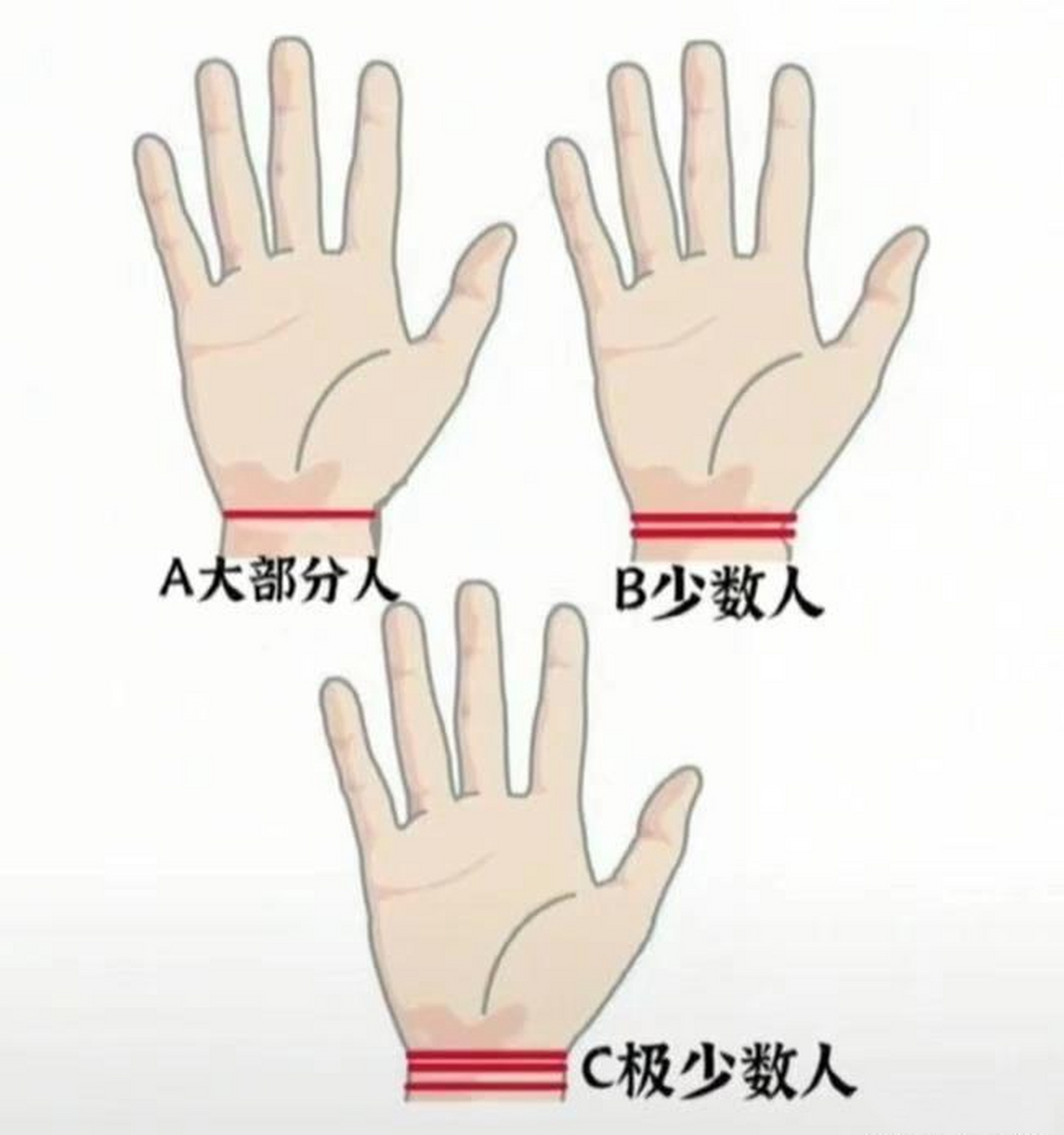 你有几条手腕线?三条有福,四条大吉大利!